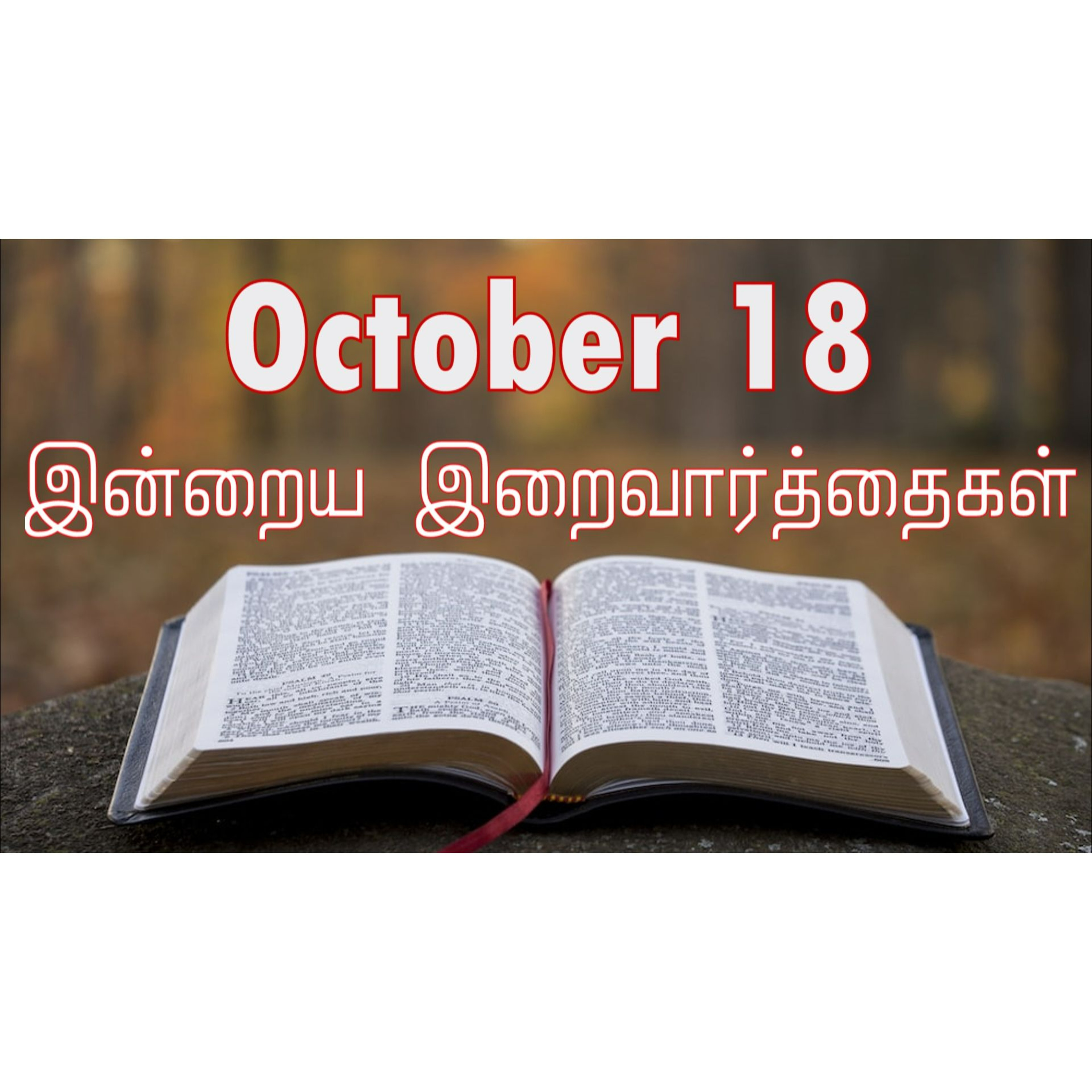 18 October 2024 | இன்றைய திருப்பலி வாசகங்கள் | Holy Mass Readings Tamil | Catholic | Daily Bible Reading Tamil | Mass readings today  episode artwork