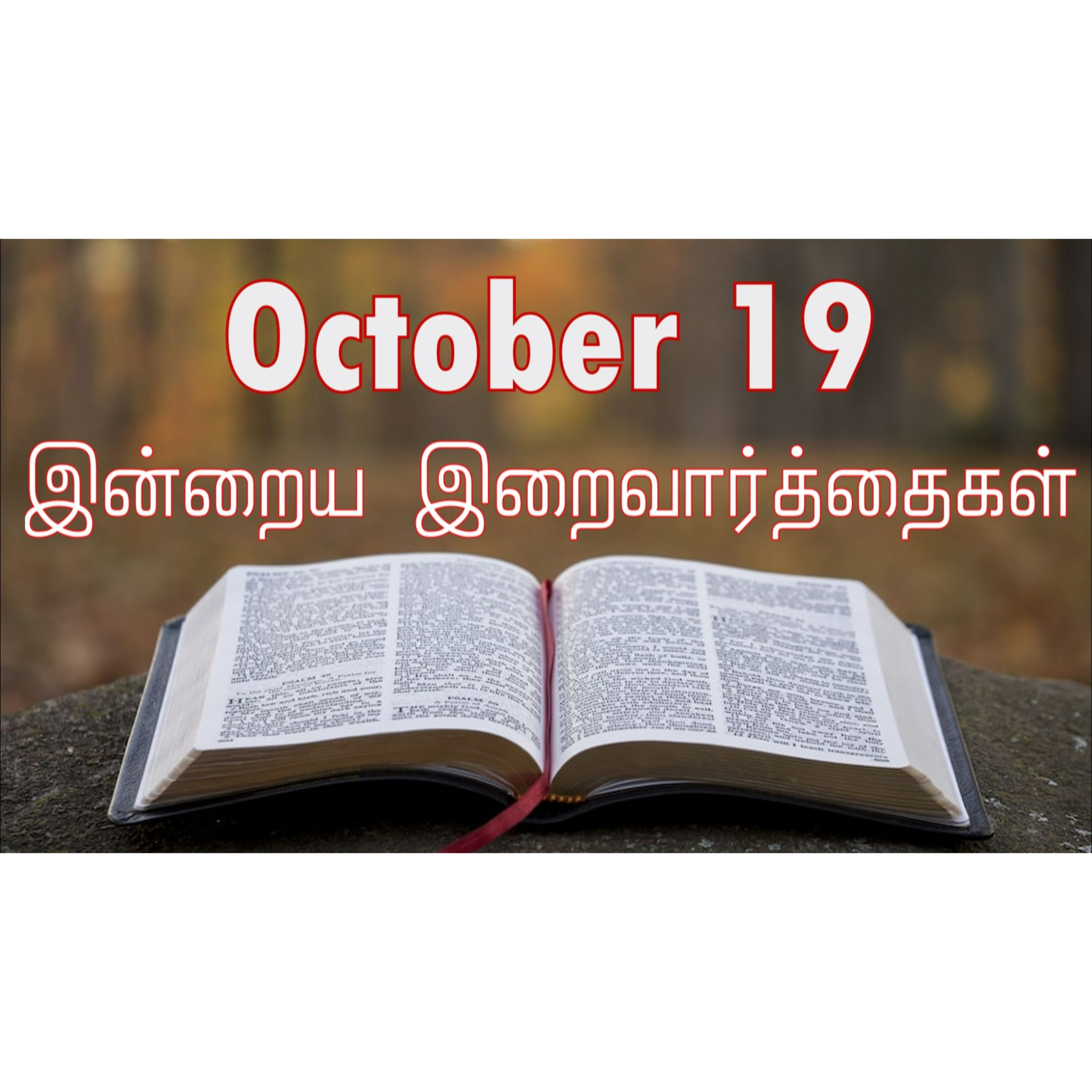 19 October 2024 | இன்றைய திருப்பலி வாசகங்கள் | Holy Mass Readings Tamil | Catholic | Daily Bible Reading Tamil | Mass readings today episode artwork