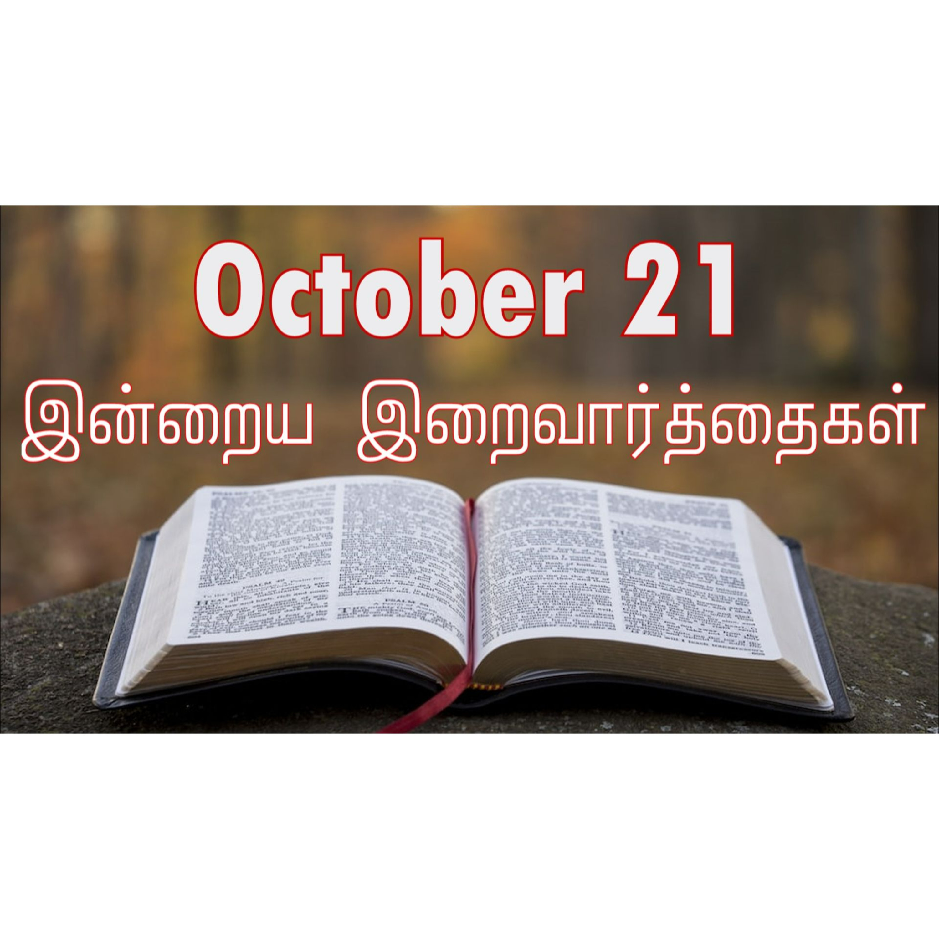 21 October 2024 | இன்றைய திருப்பலி வாசகங்கள் | Holy Mass Readings Tamil | Catholic | Daily Bible Reading Tamil | Mass readings today episode artwork