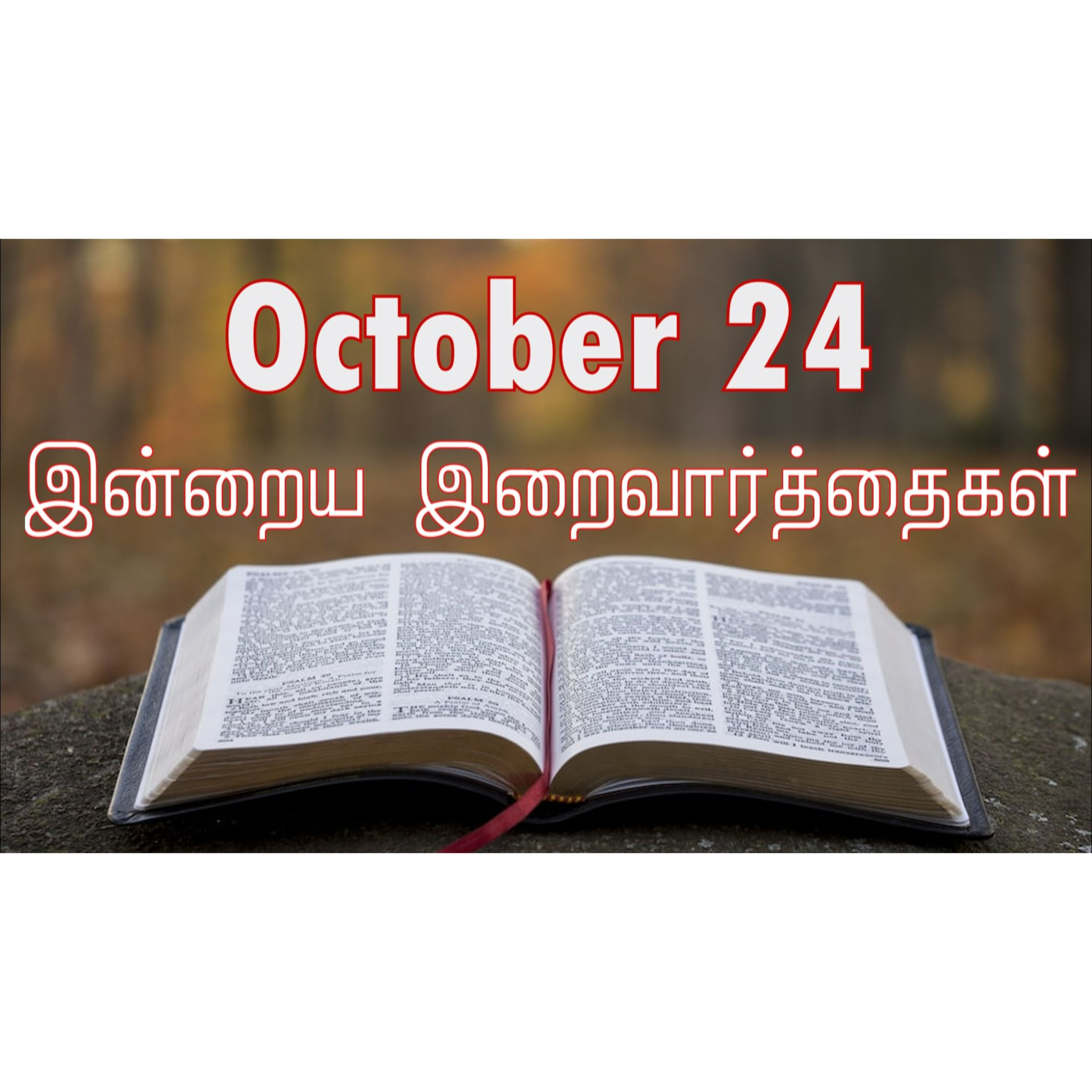 24 October 2024 | இன்றைய திருப்பலி வாசகங்கள் | Holy Mass Readings Tamil | Catholic | Daily Bible Reading Tamil | Mass readings today episode artwork