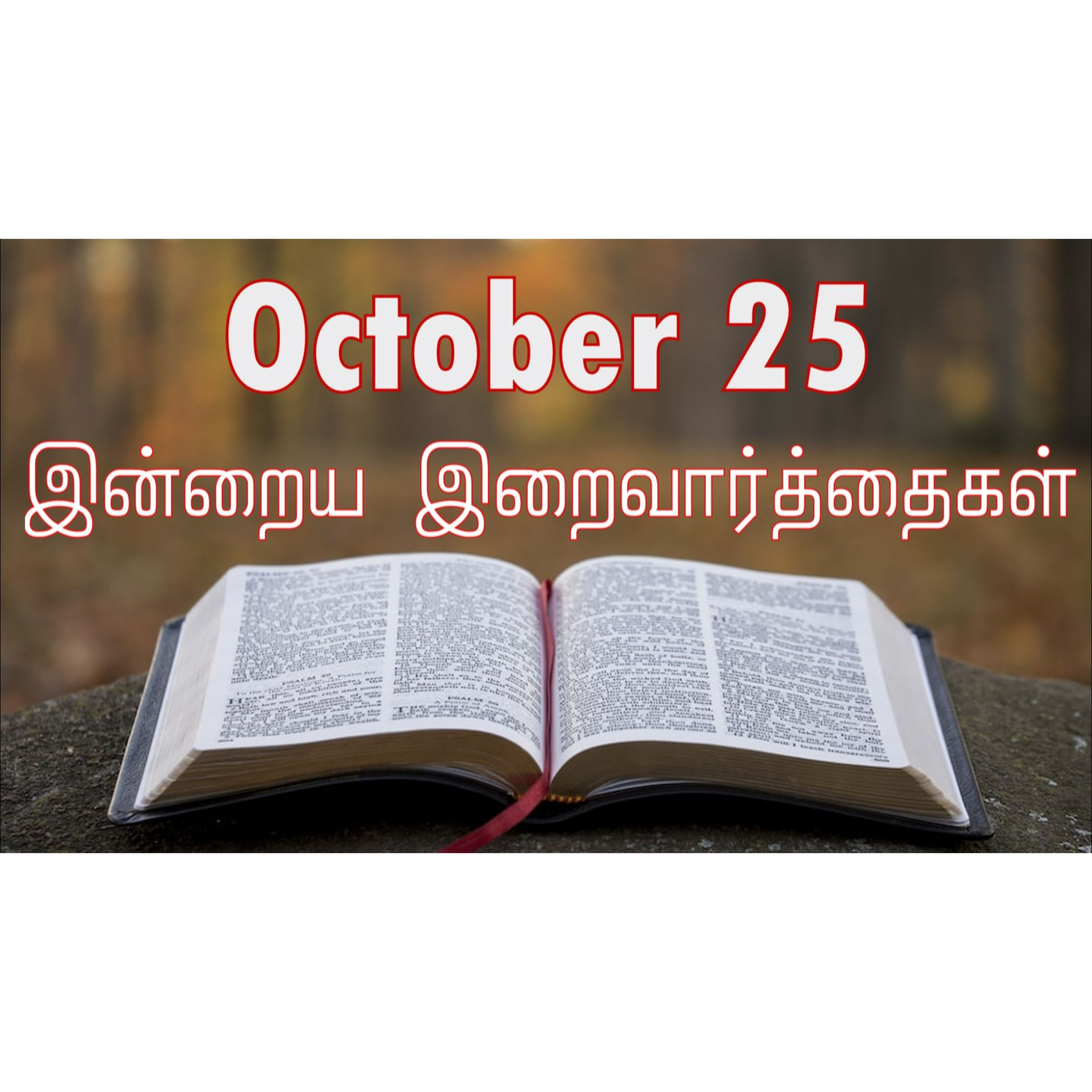 25 October 2024 | இன்றைய திருப்பலி வாசகங்கள் | Holy Mass Readings Tamil | Catholic | Daily Bible Reading Tamil | Mass readings today episode artwork