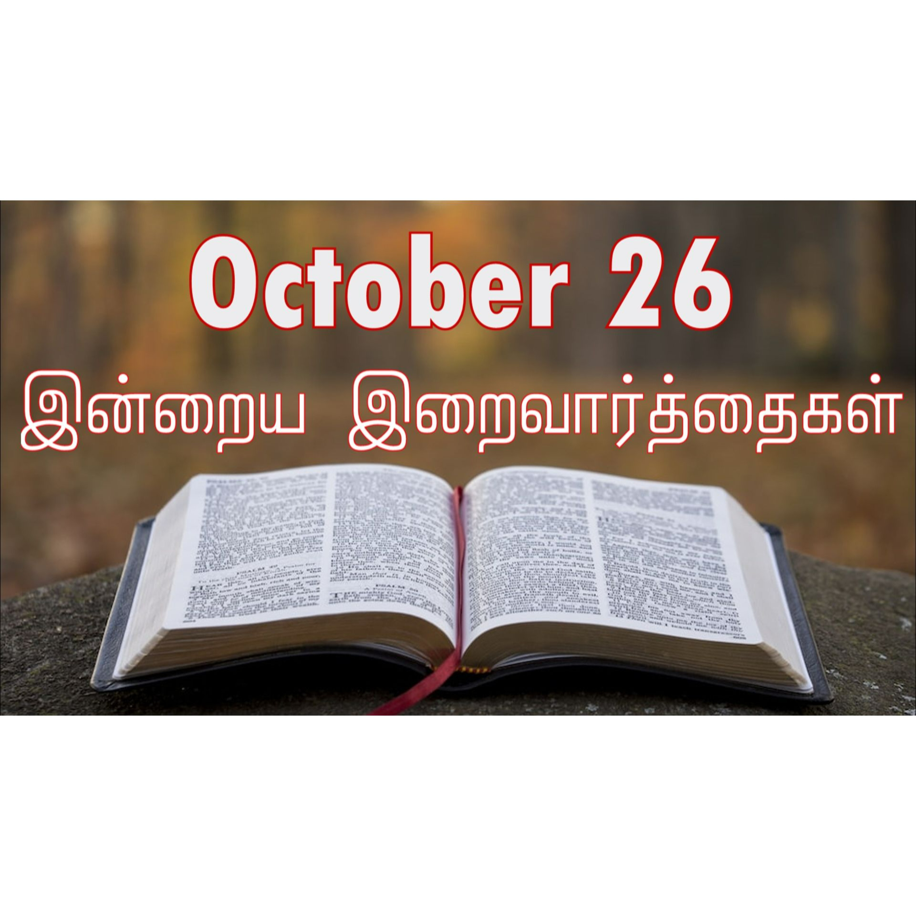 26 October 2024 | இன்றைய திருப்பலி வாசகங்கள் | Holy Mass Readings Tamil | Catholic | Daily Bible Reading Tamil | Mass readings today episode artwork