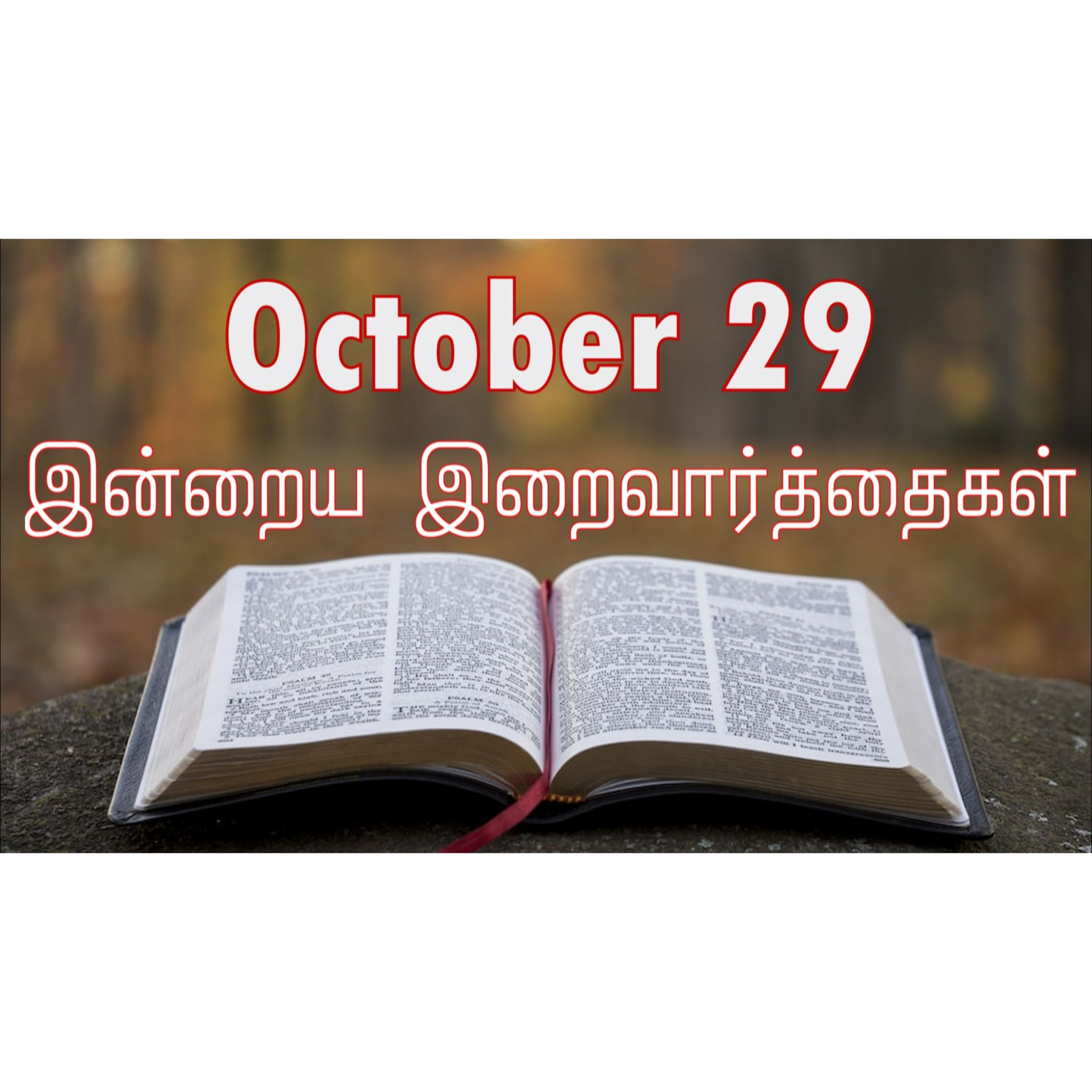 29 October 2024 | இன்றைய திருப்பலி வாசகங்கள் | Holy Mass Readings Tamil | Catholic | Daily Bible Reading Tamil | Mass readings today episode artwork