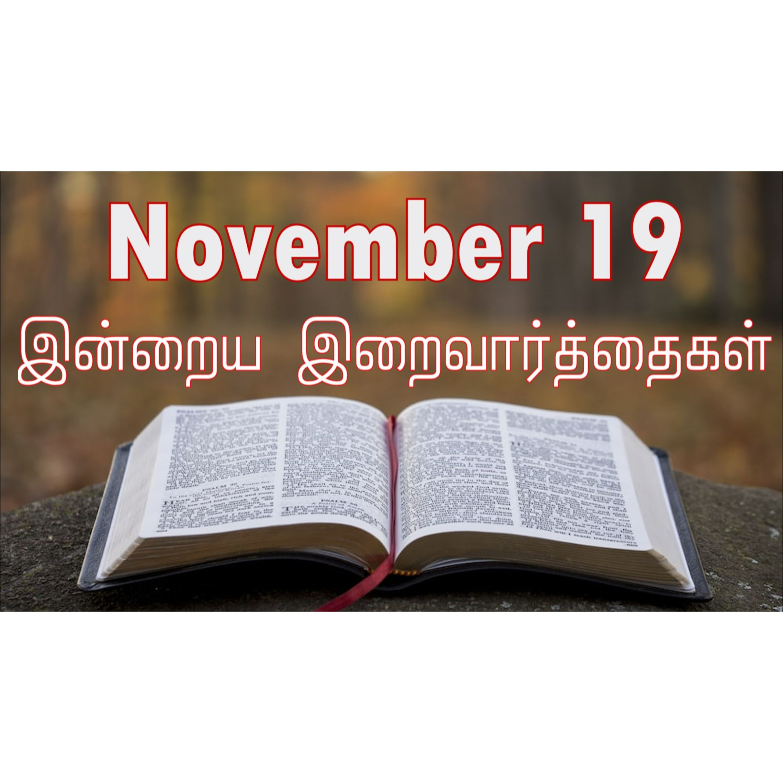 19 November 2024 | இன்றைய திருப்பலி வாசகங்கள் | Holy Mass Readings Tamil | Catholic | Daily Bible Reading Tamil | Mass readings today episode artwork