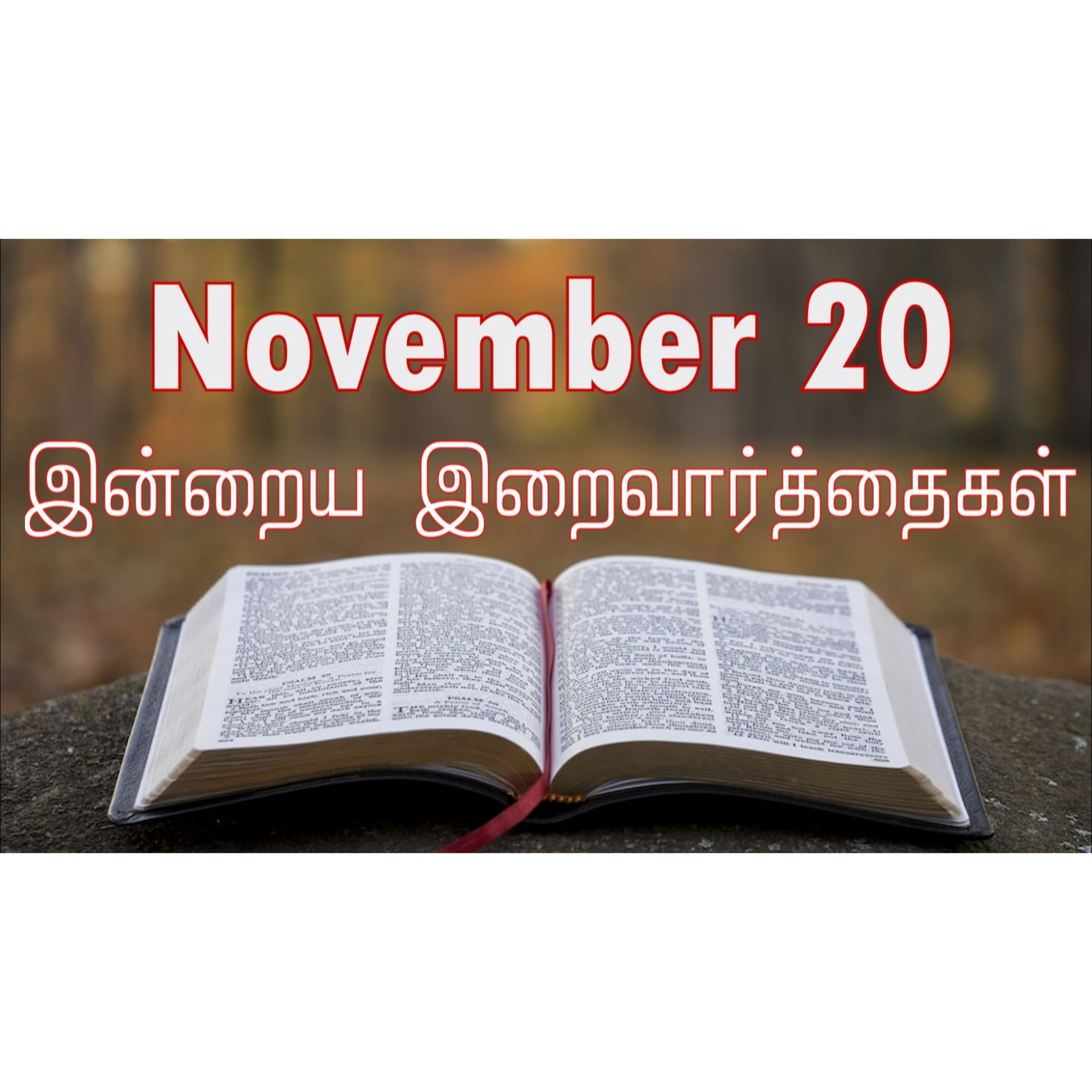 20 November 2024 | இன்றைய திருப்பலி வாசகங்கள் | Holy Mass Readings Tamil | Catholic | Daily Bible Reading Tamil | Mass readings today episode artwork