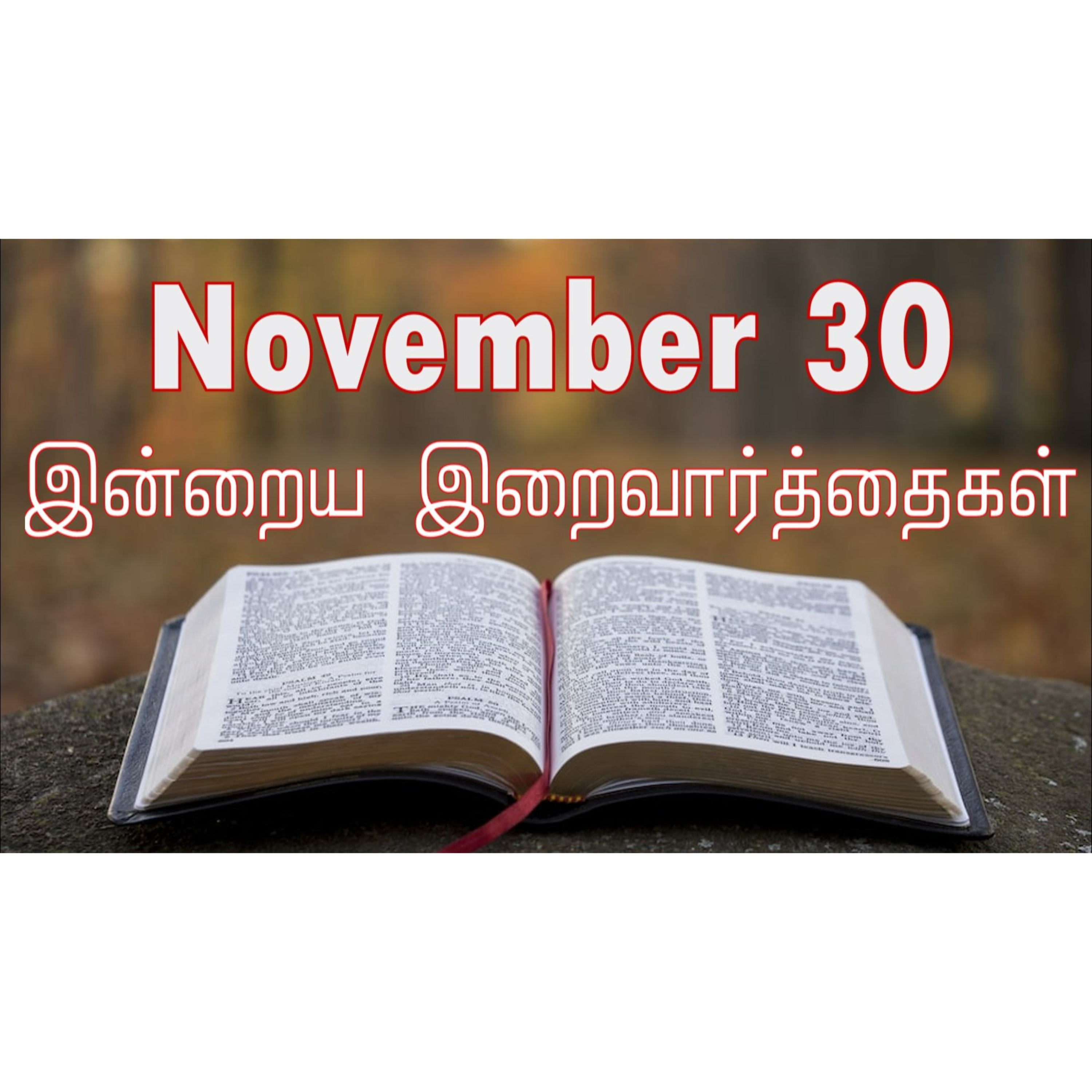 30 November 2024 | இன்றைய திருப்பலி வாசகங்கள் | Holy Mass Readings Tamil | Catholic | Daily Bible Reading Tamil | Mass readings today | Today's Mass Readings Tamil | Daily bible verse in Tamil