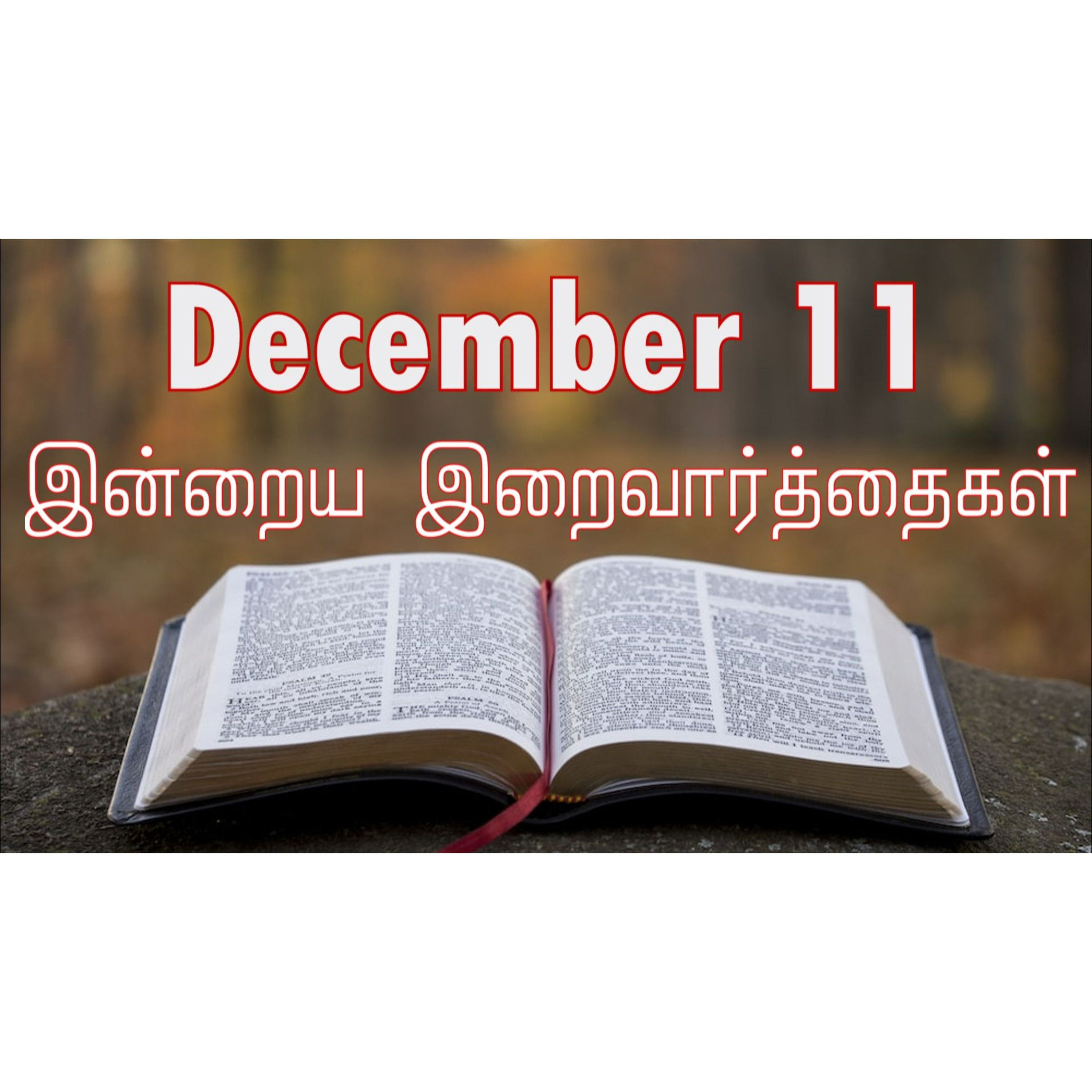 11 December 2024 | இன்றைய திருப்பலி வாசகங்கள் | Holy Mass Readings Tamil | Catholic | Daily Bible Reading Tamil | Mass readings today episode artwork