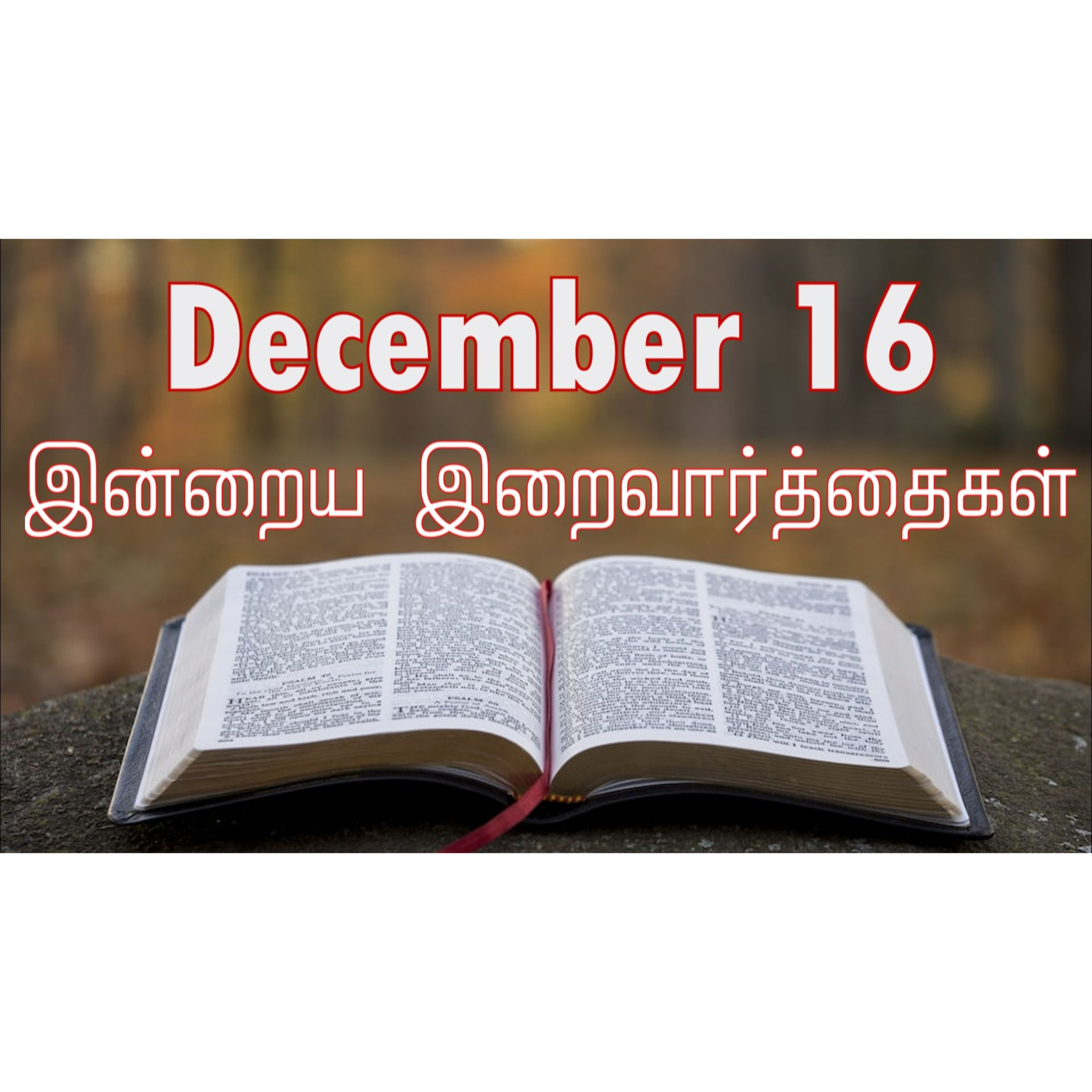 16 December 2024 | இன்றைய திருப்பலி வாசகங்கள் | Holy Mass Readings Tamil | Catholic | Daily Bible Reading Tamil | Mass readings today episode artwork