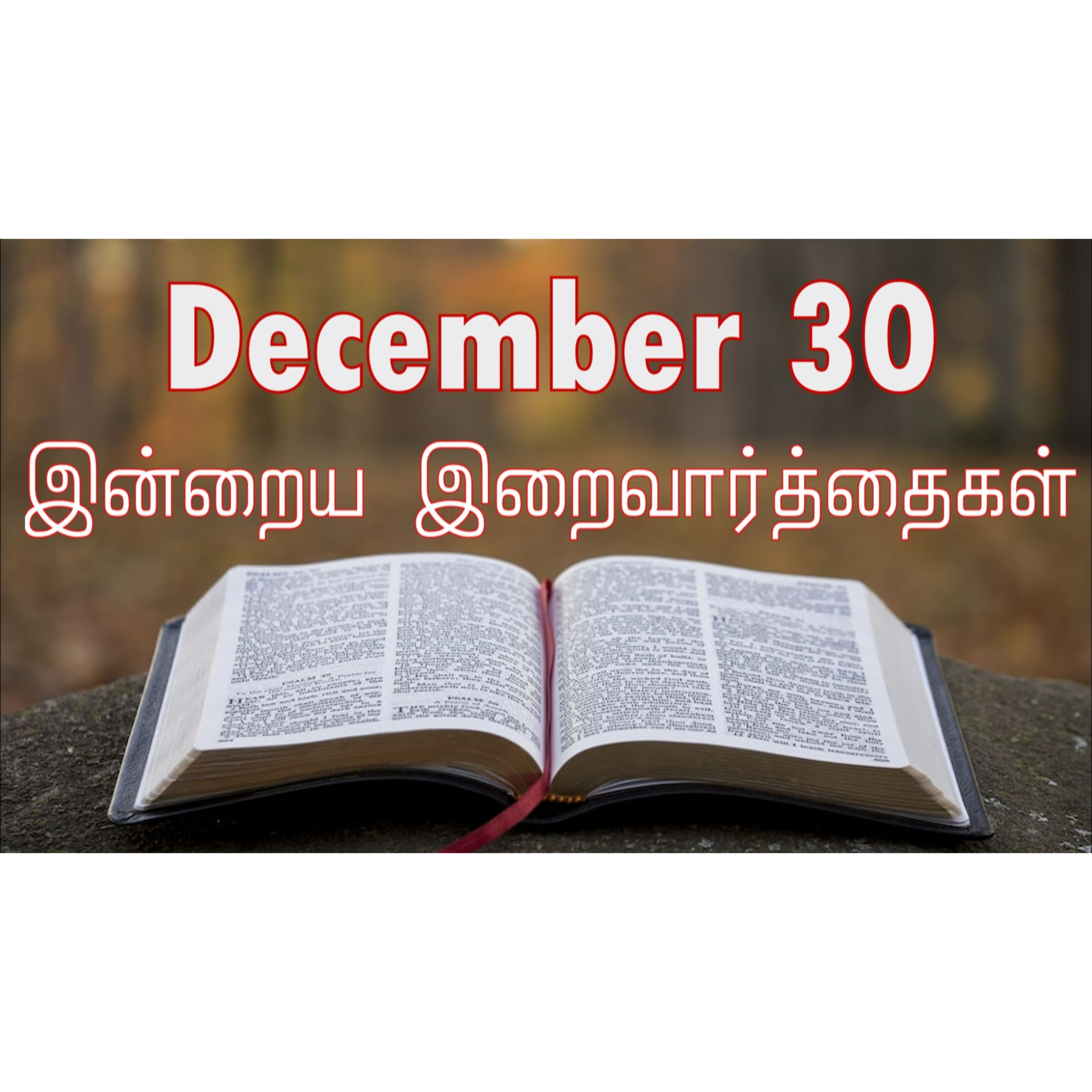 30 December 2024 | இன்றைய திருப்பலி வாசகங்கள் | Holy Mass Readings Tamil | Catholic | Daily Bible Reading Tamil | Mass readings today | Today's Mass Readings Tamil | Daily bible verse in Tamil