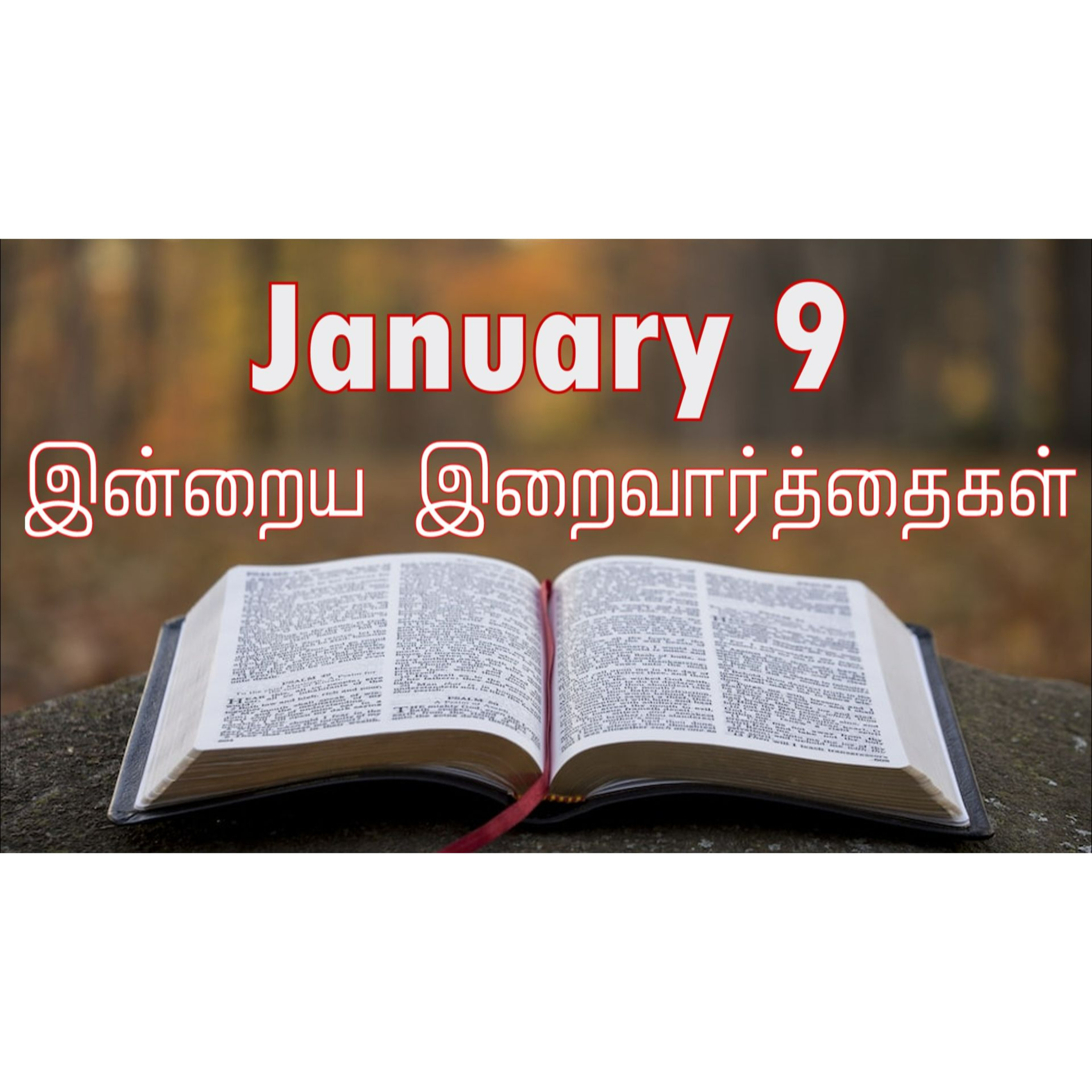 9 January 2025 | இன்றைய திருப்பலி வாசகங்கள் | Holy Mass Readings Tamil | Catholic | Daily Bible Reading Tamil | Mass readings today | Today's Mass Readings Tamil | Daily bible verse in Tamil episode artwork