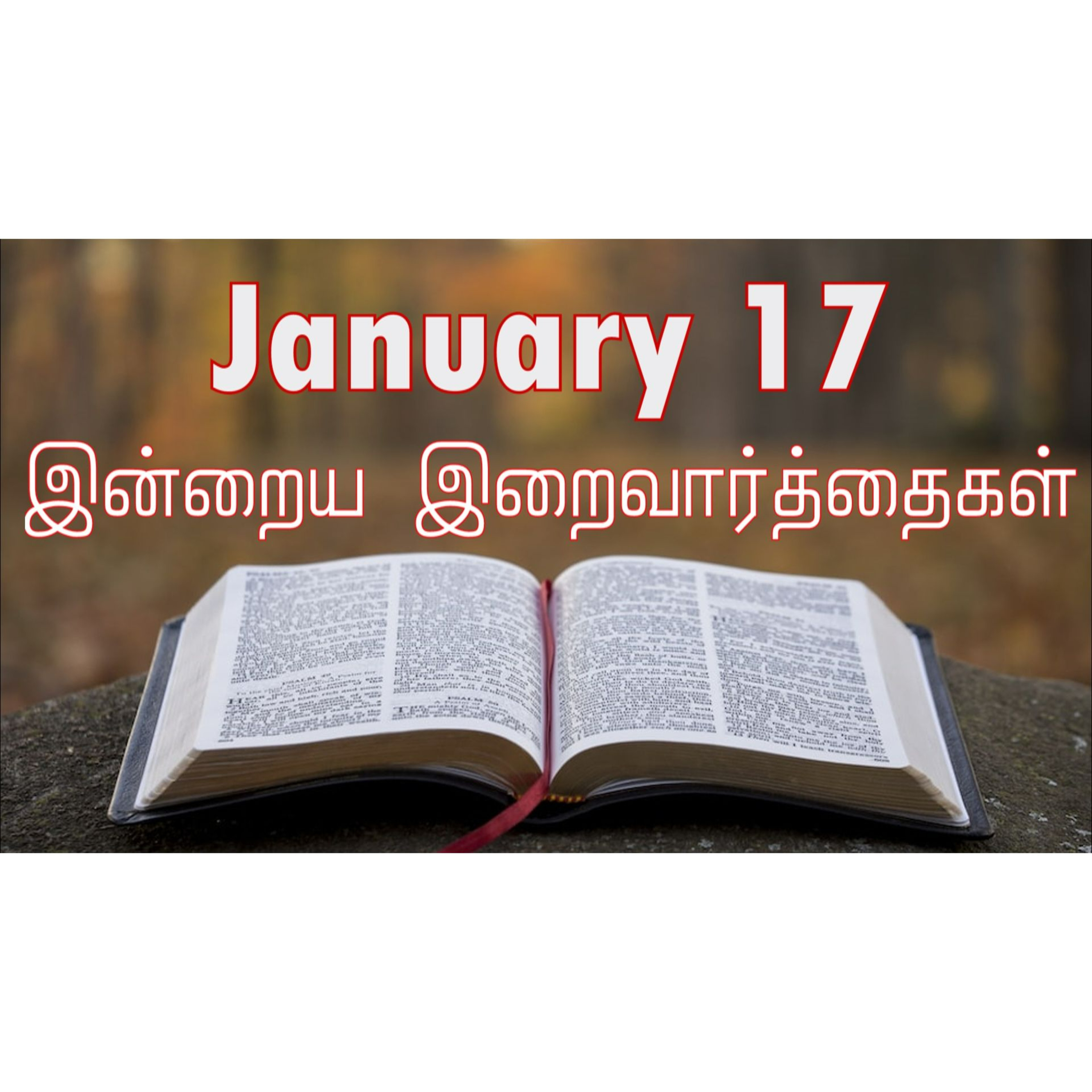 17 January 2025 | இன்றைய திருப்பலி வாசகங்கள் | Holy Mass Readings Tamil | Catholic | Daily Bible Reading Tamil | Mass readings today | Today's Mass Readings Tamil | Daily bible verse in Tamil 