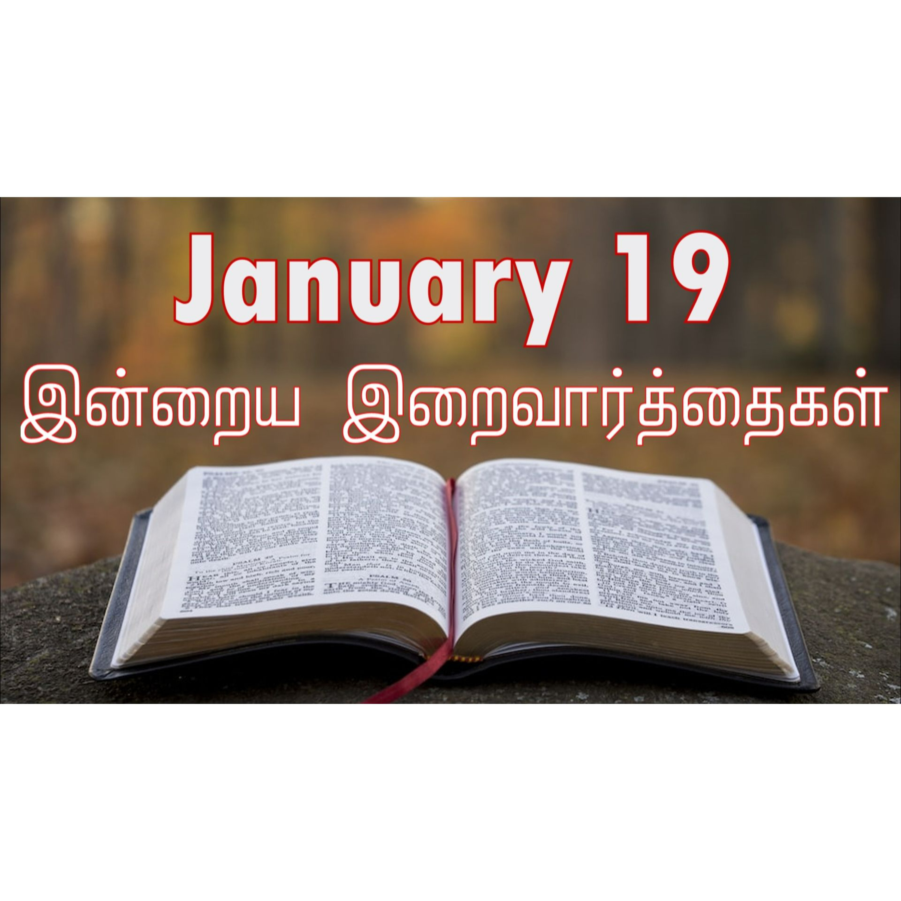 19 January 2025 | இன்றைய திருப்பலி வாசகங்கள் | Holy Mass Readings Tamil | Catholic | Daily Bible Reading Tamil | Mass readings today | Today's Mass Readings Tamil | Daily bible verse in Tamil episode artwork