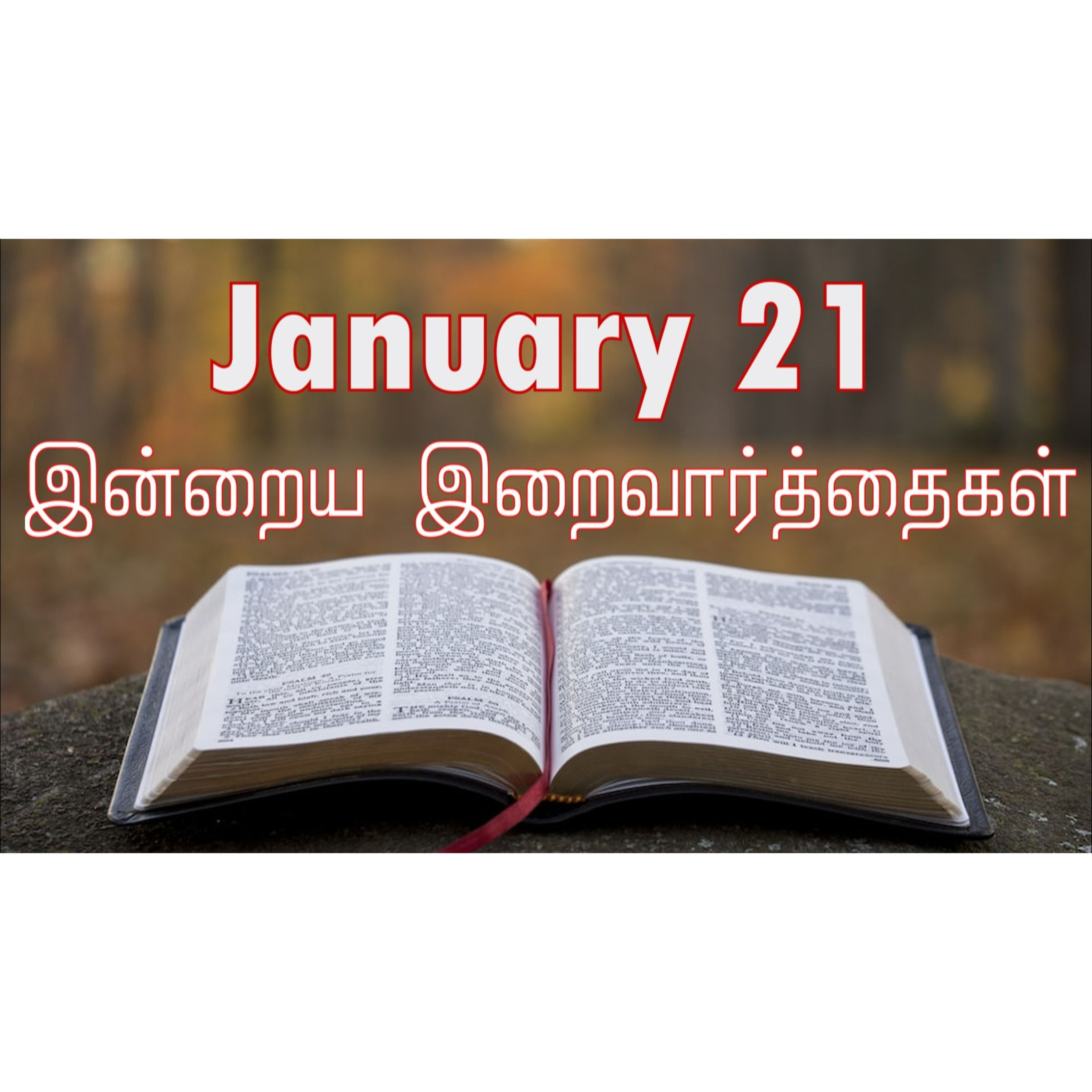 21 January 2025 | இன்றைய திருப்பலி வாசகங்கள் | Holy Mass Readings Tamil | Catholic | Daily Bible Reading Tamil | Mass readings today | Today's Mass Readings Tamil | Daily bible verse in Tamil 