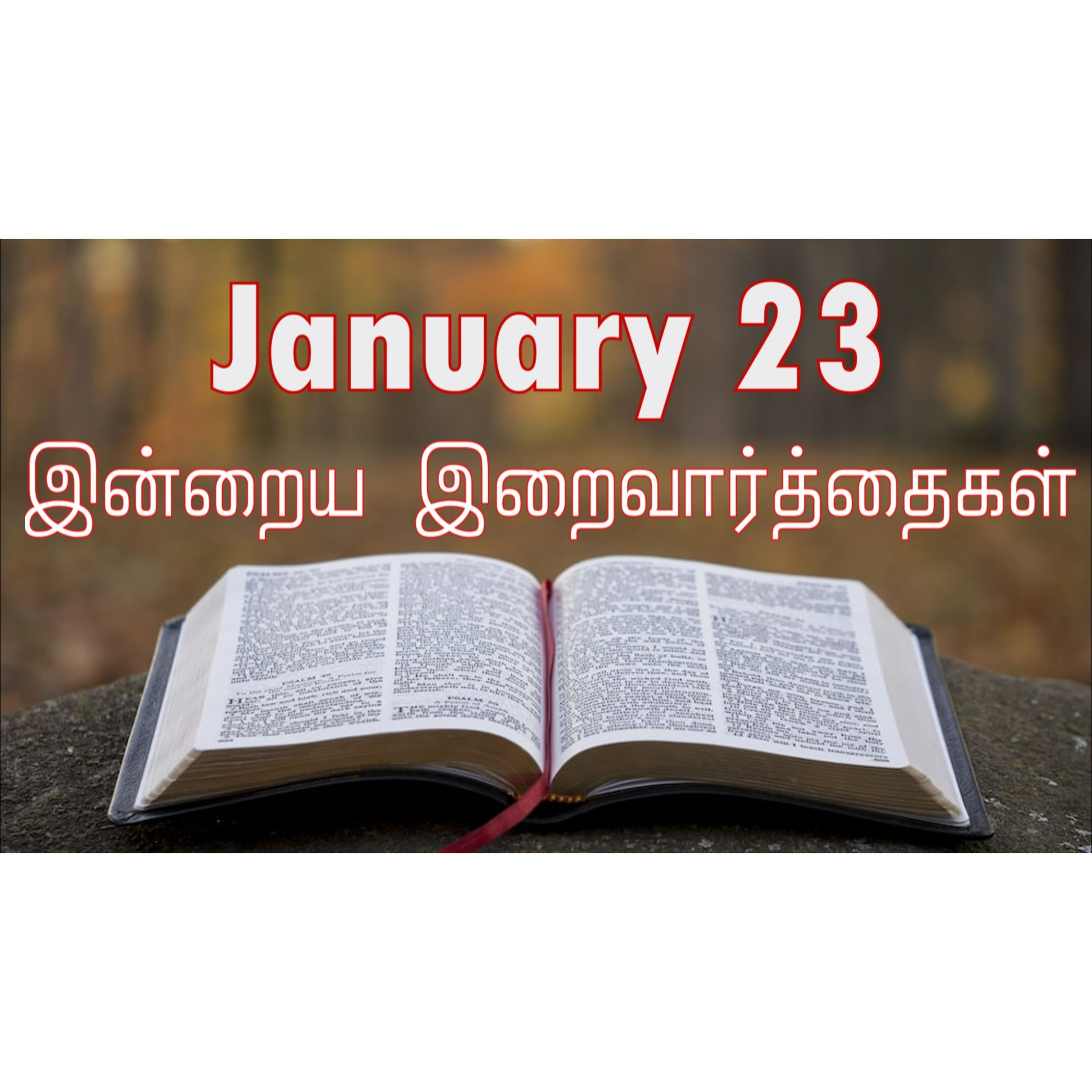 23 January 2025 | இன்றைய திருப்பலி வாசகங்கள் | Holy Mass Readings Tamil | Catholic | Daily Bible Reading Tamil | Mass readings today | Today's Mass Readings Tamil | Daily bible verse in Tami