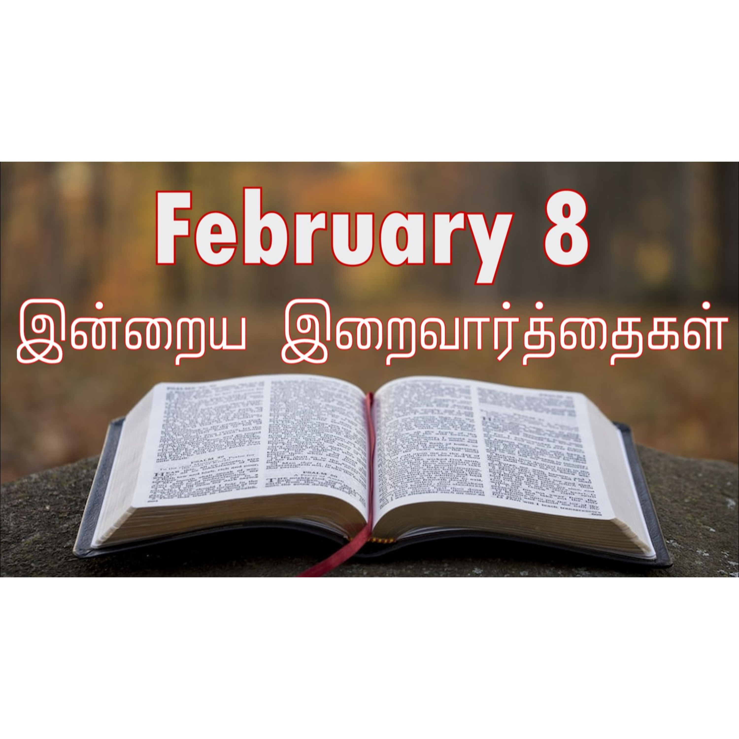 8 February 2025 | இன்றைய திருப்பலி வாசகங்கள் | Holy Mass Readings Tamil | Catholic | Daily Bible Reading Tamil | Mass readings today | Today's Mass Readings Tamil | Daily bible verse in Tamil episode artwork