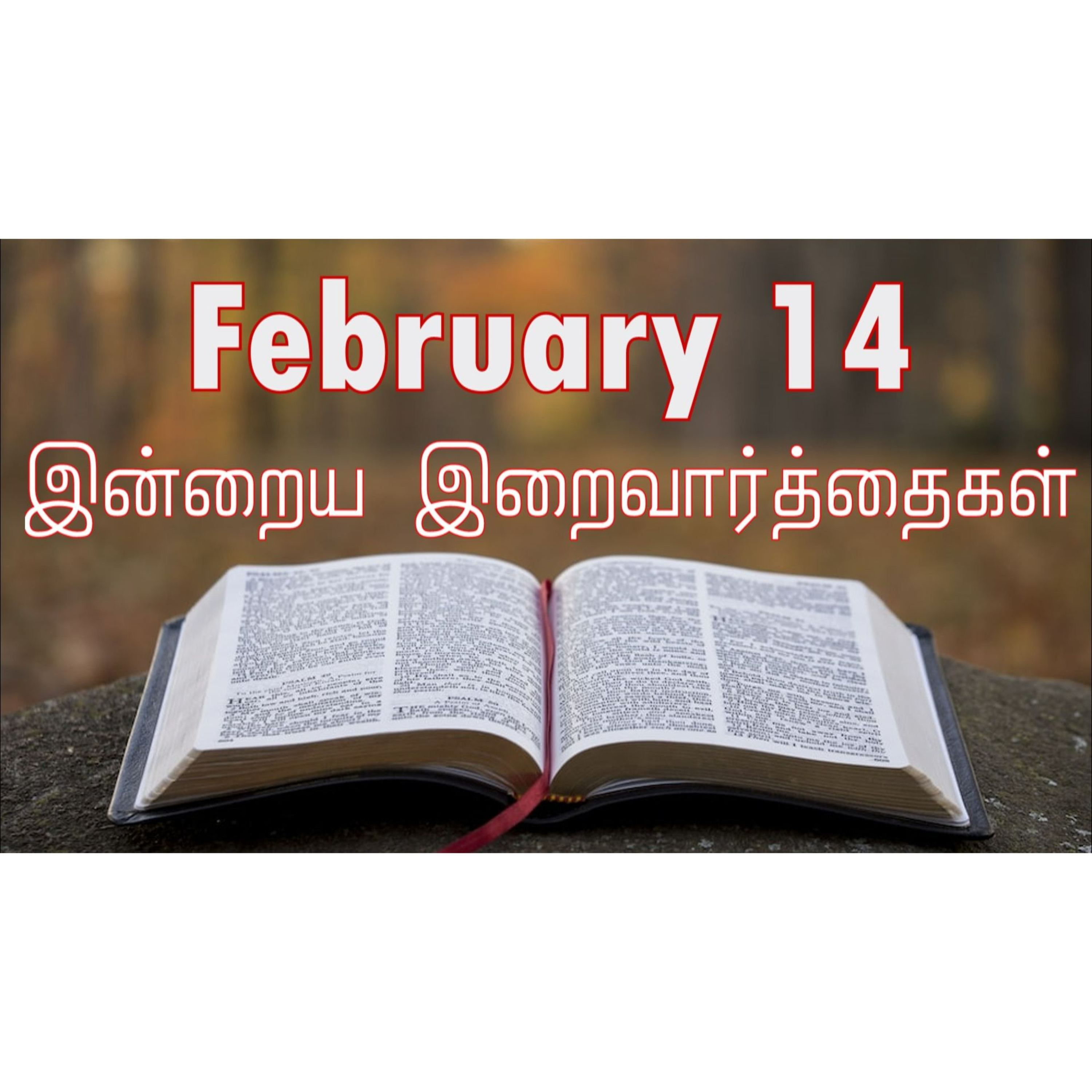14 February 2025 | இன்றைய திருப்பலி வாசகங்கள் | Holy Mass Readings Tamil | Catholic | Daily Bible Reading Tamil | Mass readings today | Today's Mass Readings Tamil | Daily bible verse in Tamil