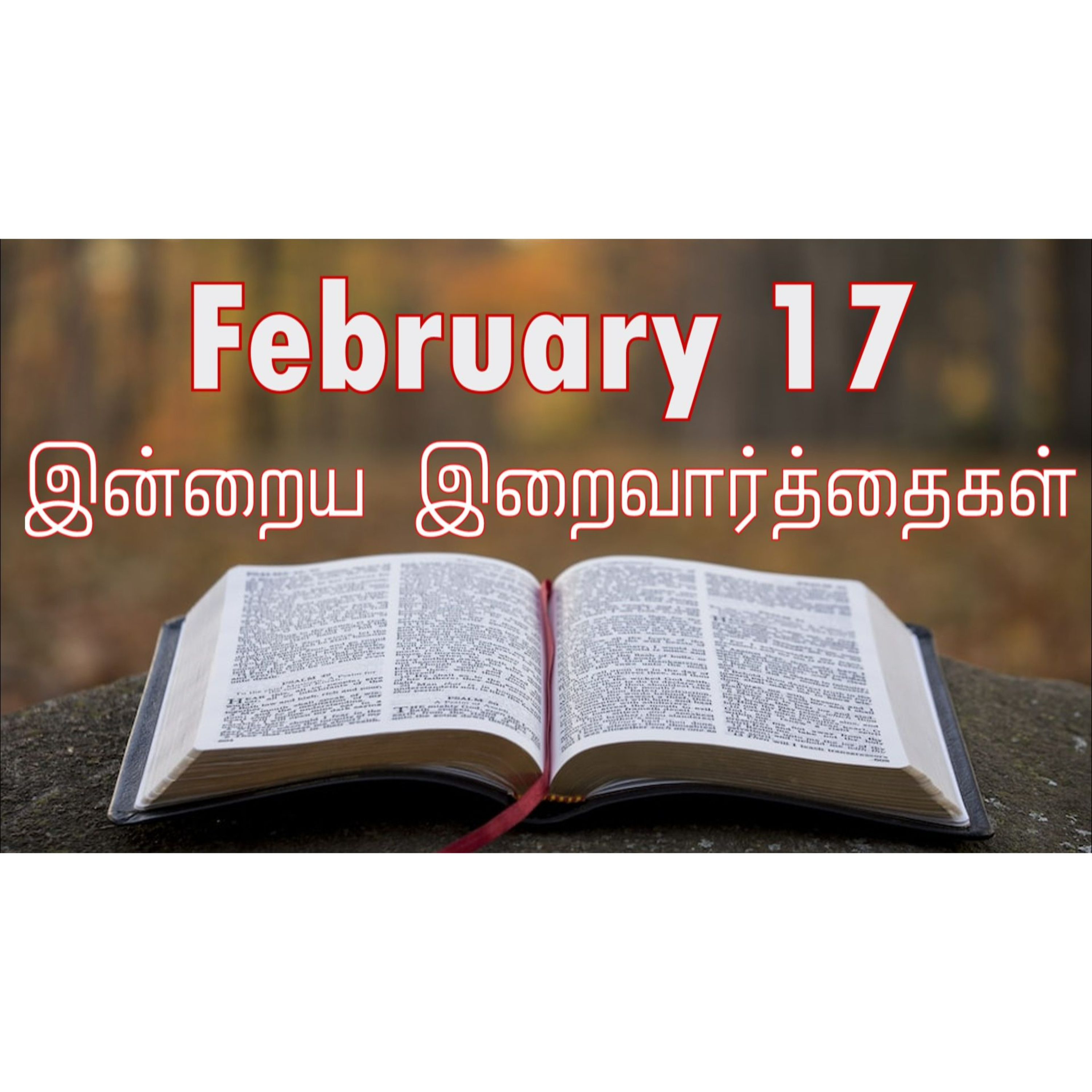 17 February 2025 | இன்றைய திருப்பலி வாசகங்கள் | Holy Mass Readings Tamil | Catholic | Daily Bible Reading Tamil | Mass readings today | Today's Mass Readings Tamil | Daily bible verse in Tamil