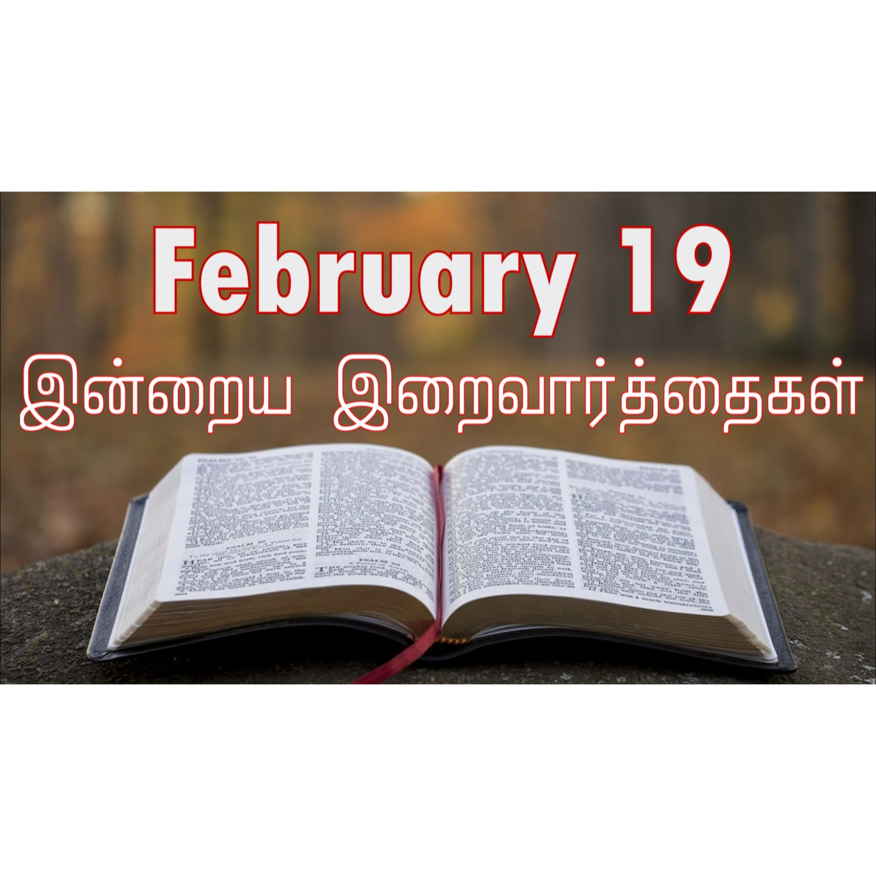19 February 2025 | இன்றைய திருப்பலி வாசகங்கள் | Holy Mass Readings Tamil | Catholic | Daily Bible Reading Tamil | Mass readings today | Today's Mass Readings Tamil | Daily bible verse in Tamil 