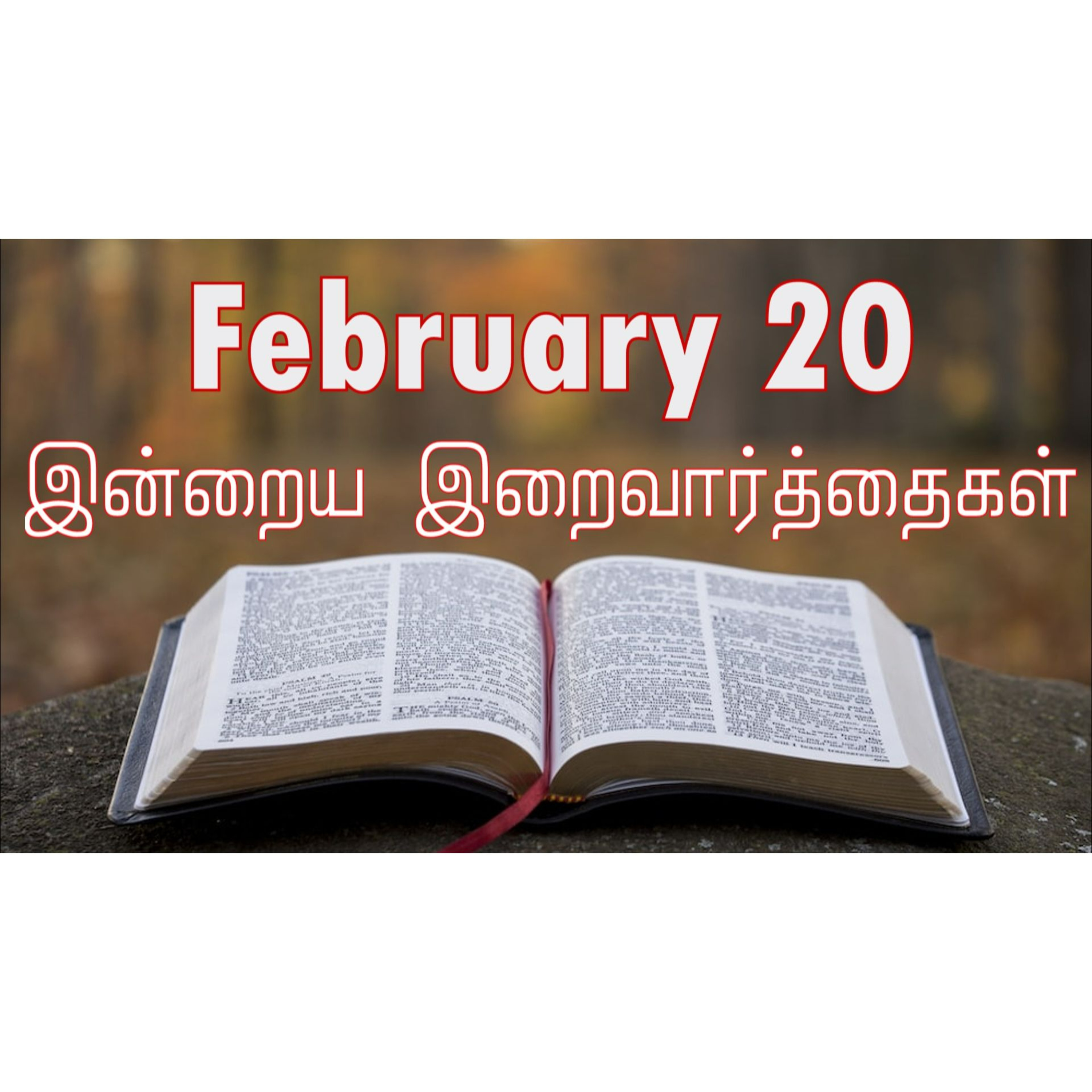 20 February 2025 | இன்றைய திருப்பலி வாசகங்கள் | Holy Mass Readings Tamil | Catholic | Daily Bible Reading Tamil | Mass readings today | Today's Mass Readings Tamil | Daily bible verse in Tamil episode artwork