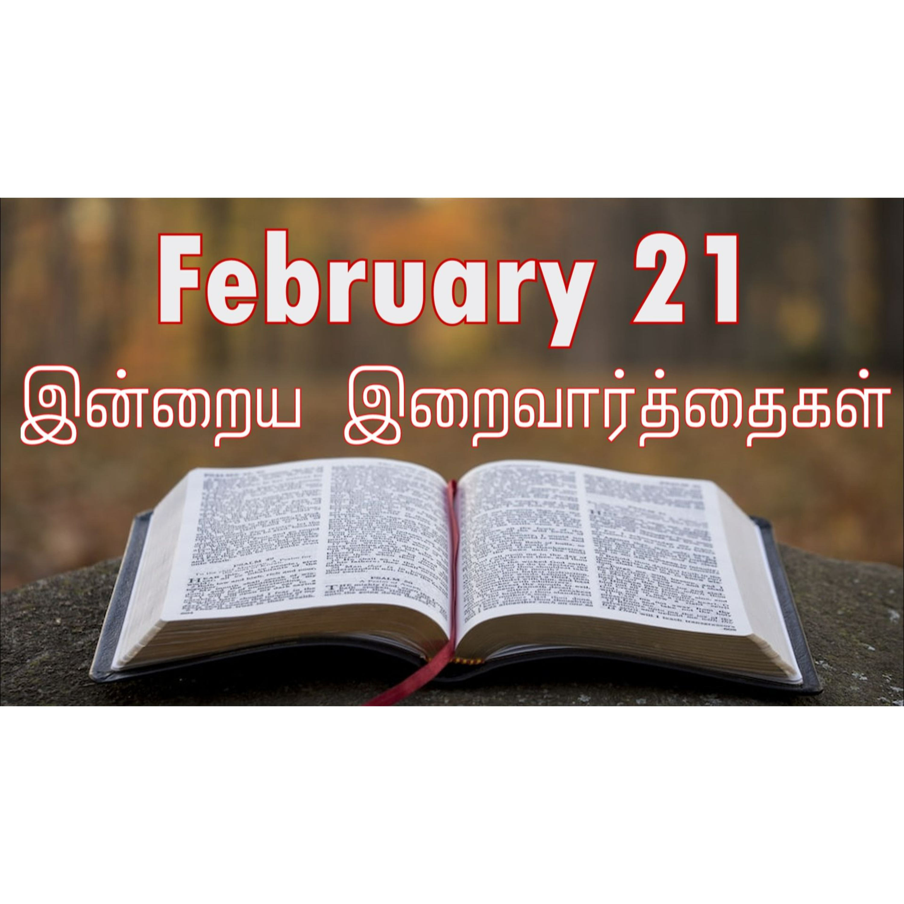 21 February 2025 | இன்றைய திருப்பலி வாசகங்கள் | Holy Mass Readings Tamil | Catholic | Daily Bible Reading Tamil | Mass readings today | Today's Mass Readings Tamil | Daily bible verse in Tamil episode artwork