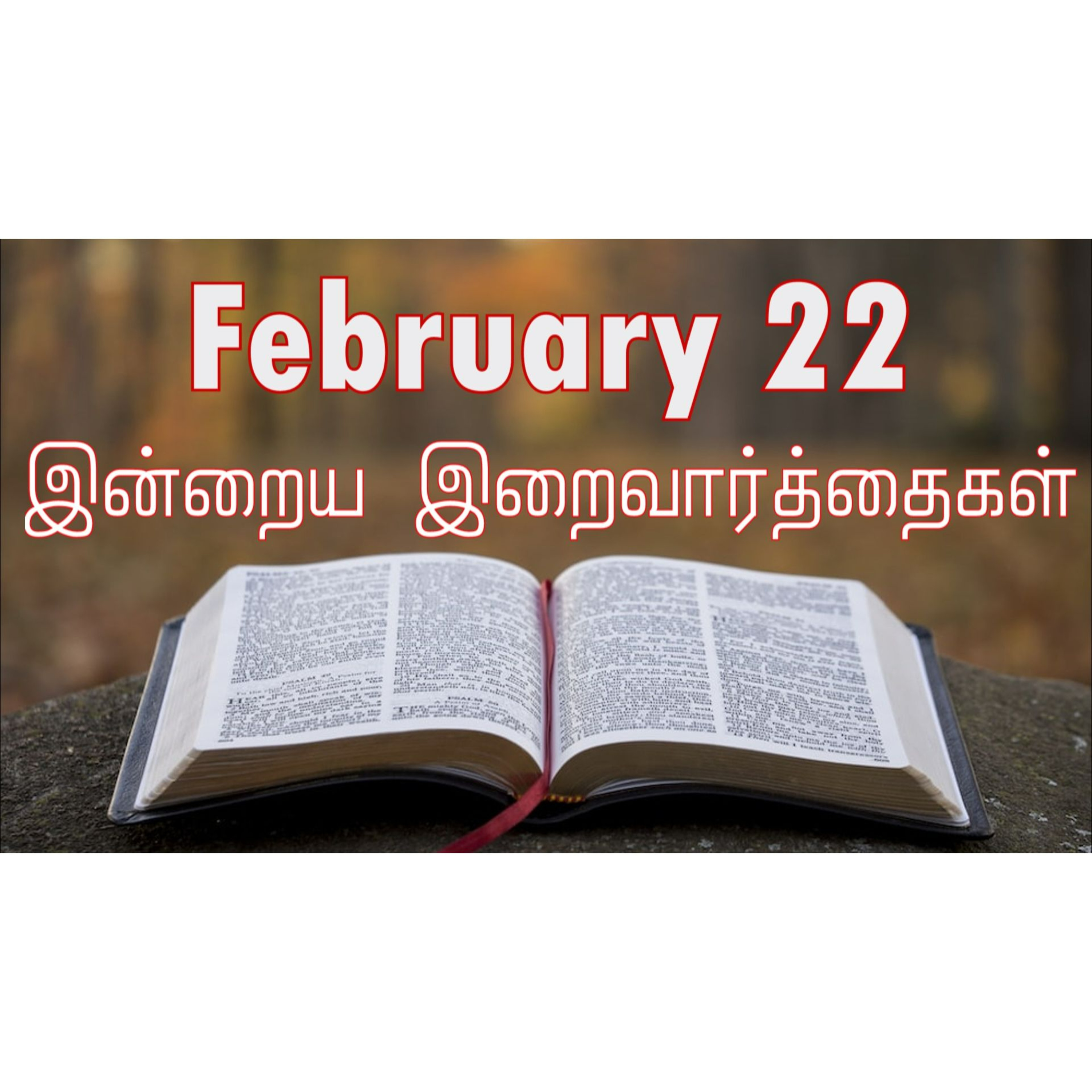 22 February 2025 | இன்றைய திருப்பலி வாசகங்கள் | Holy Mass Readings Tamil | Catholic | Daily Bible Reading Tamil | Mass readings today | Today's Mass Readings Tamil | Daily bible verse in Tamil episode artwork