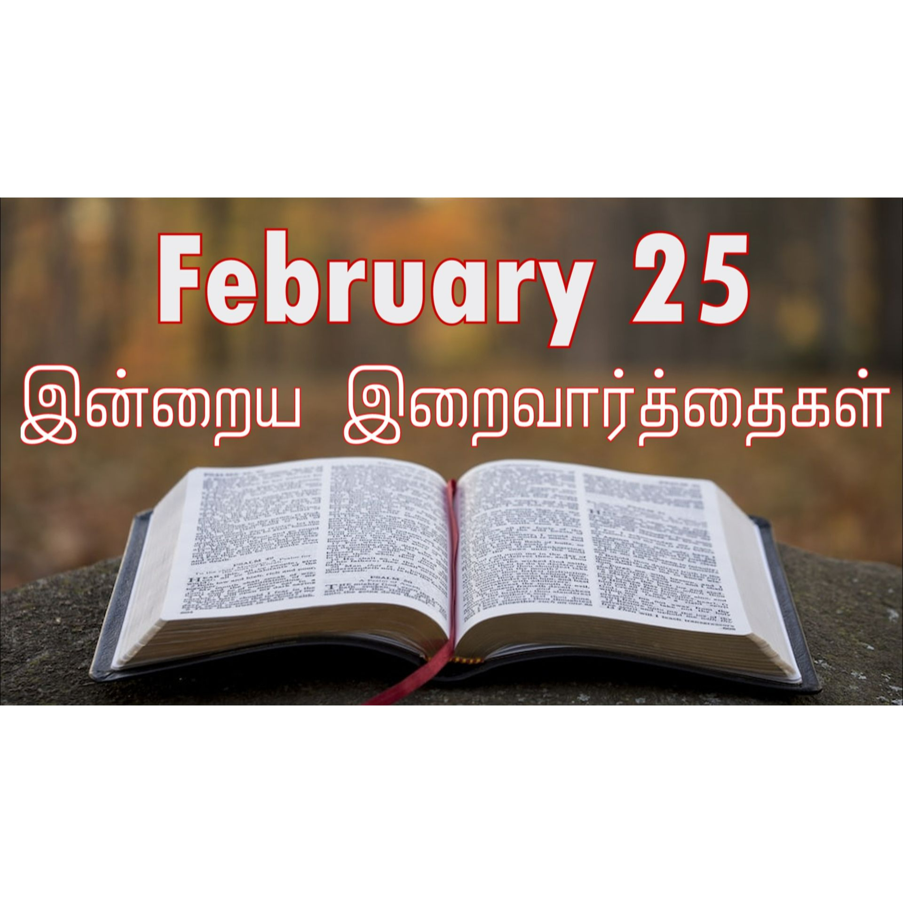 25 February 2025 | இன்றைய திருப்பலி வாசகங்கள் | Holy Mass Readings Tamil | Catholic | Daily Bible Reading Tamil | Mass readings today | Today's Mass Readings Tamil | Daily bible verse in Tamil  episode artwork