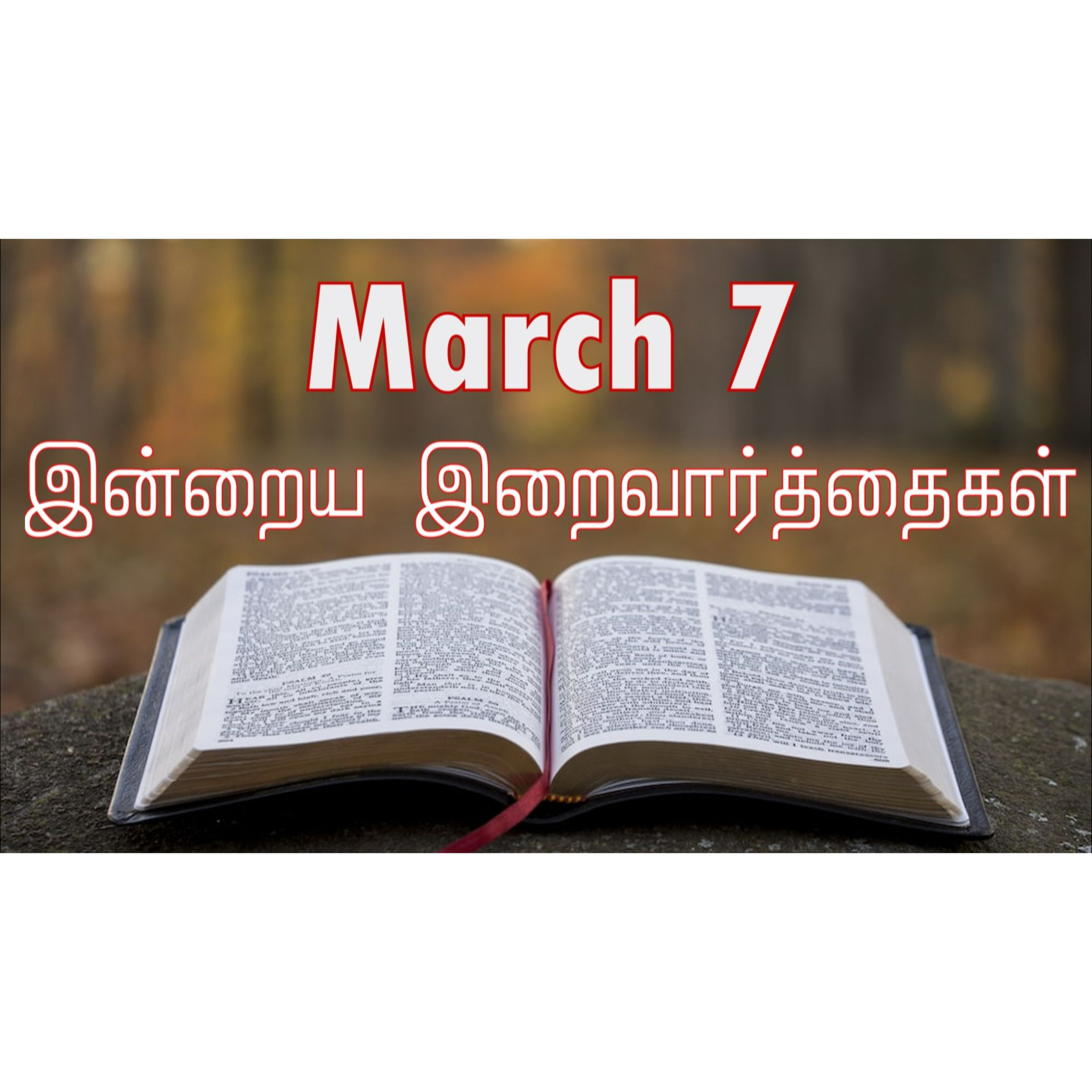 7 March 2025 | இன்றைய திருப்பலி வாசகங்கள் | Holy Mass Readings Tamil | Catholic | Daily Bible Reading Tamil | Mass readings today | Today's Mass Readings Tamil | Daily bible verse in Tamil  episode artwork