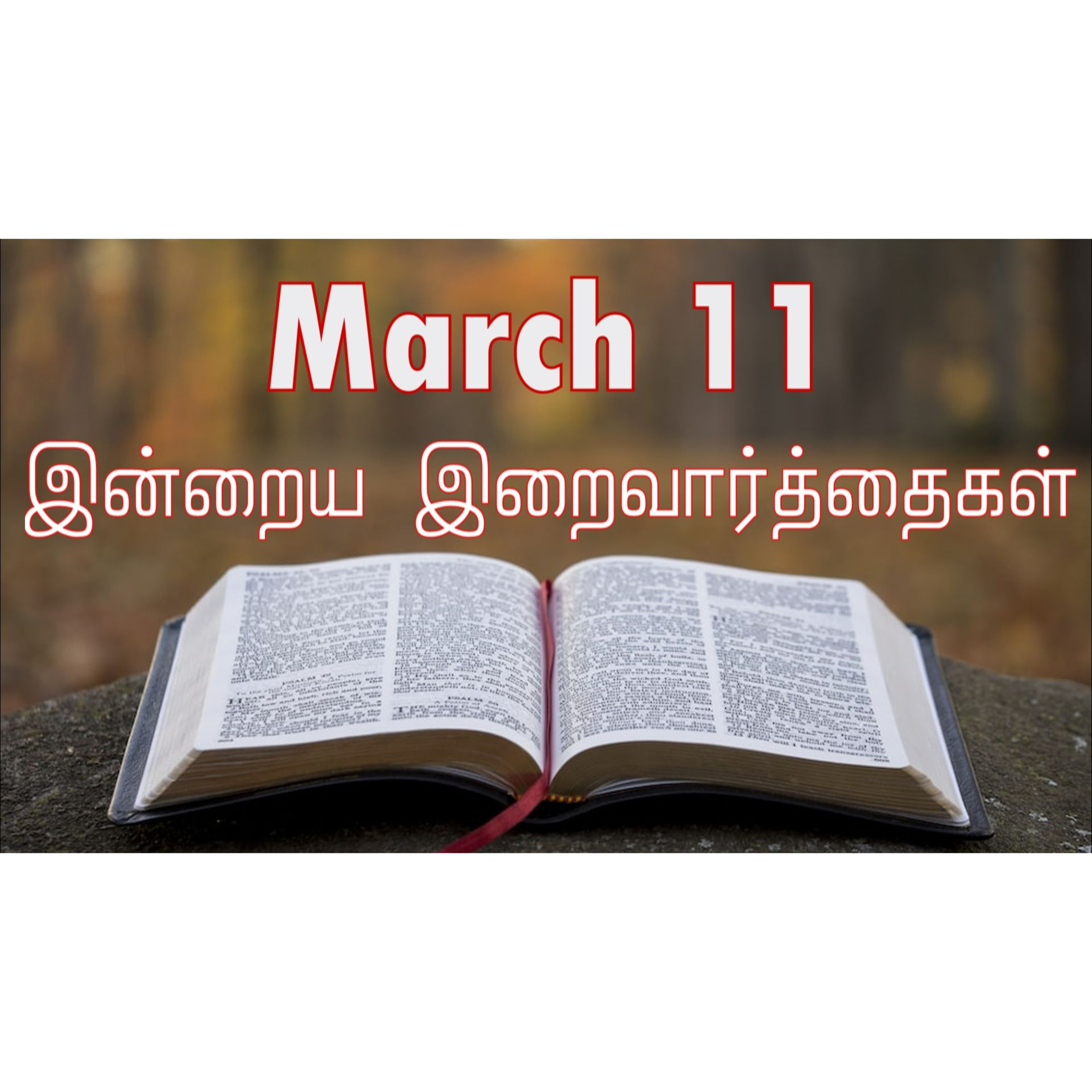 11 March 2025 | இன்றைய திருப்பலி வாசகங்கள் | Holy Mass Readings Tamil | Catholic | Daily Bible Reading Tamil | Mass readings today | Today's Mass Readings Tamil | Daily bible verse in Tamil episode artwork