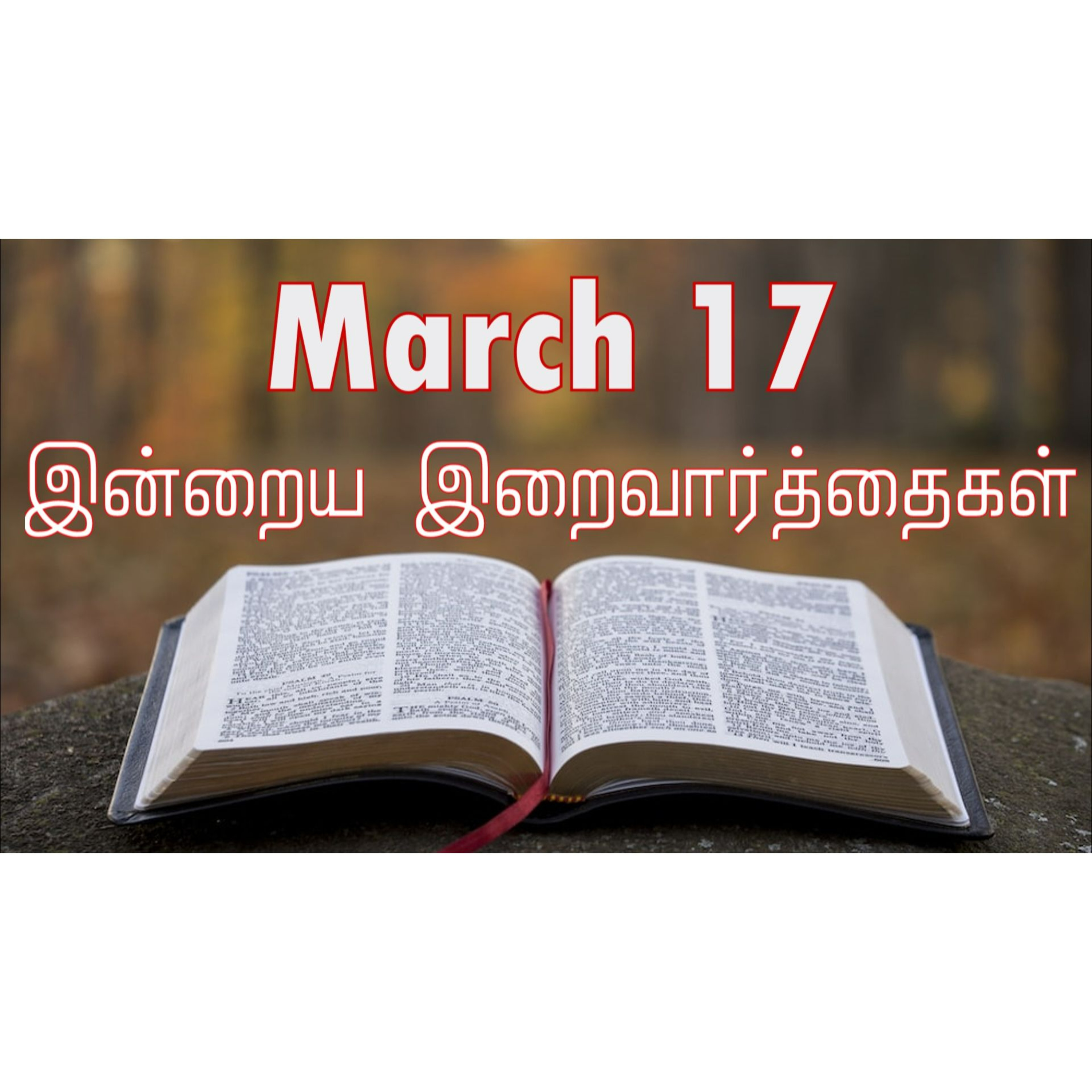 17 March 2025 Holy Mass Readings Tamil | Catholic | Daily Bible Reading Tamil | இன்றைய திருப்பலி வாசகங்கள் | Mass readings today | Today's Mass Readings Tamil | Daily bible verse in Tamil episode artwork