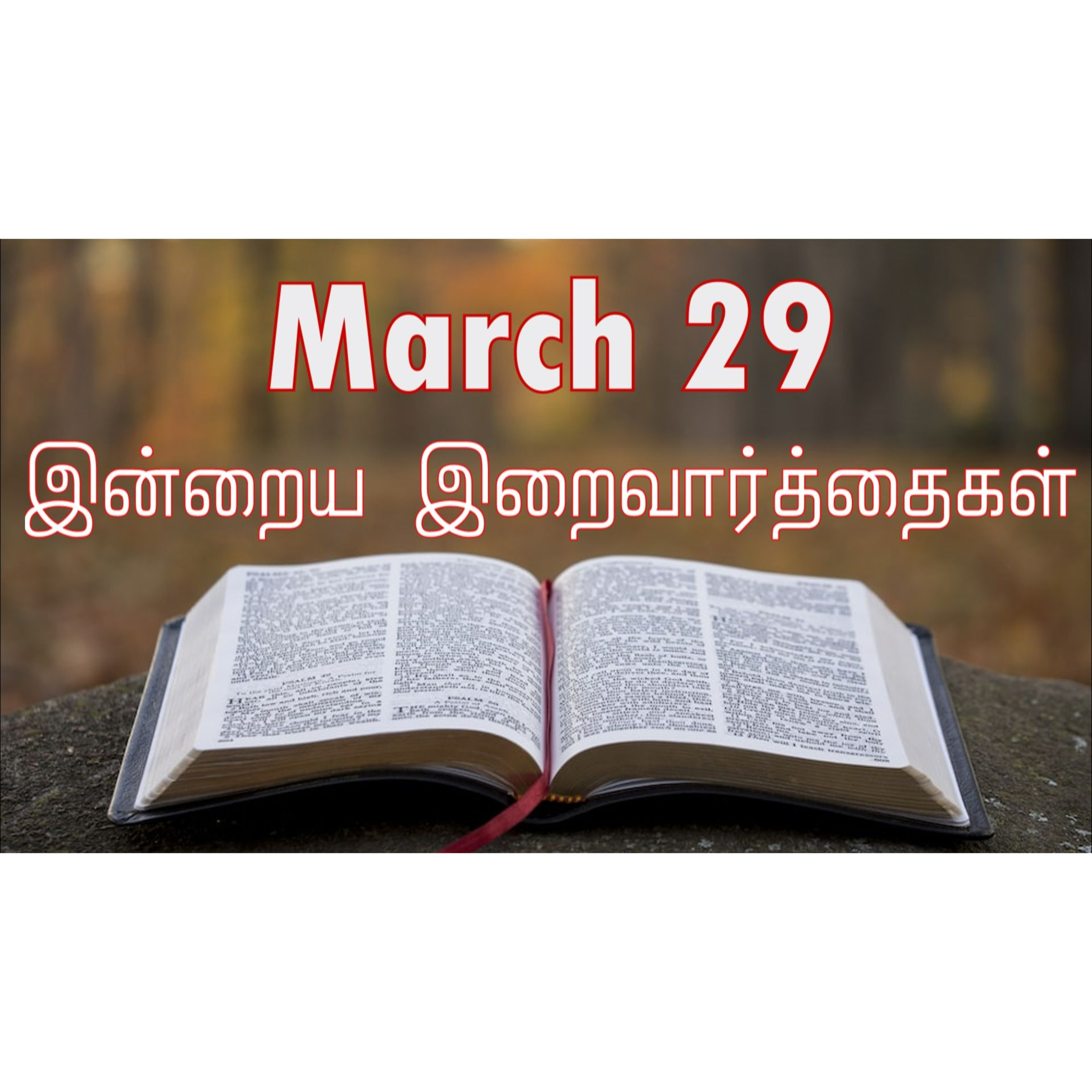 29 March 2025 Holy Mass Readings Tamil | Catholic | Daily Bible Reading Tamil | இன்றைய திருப்பலி வாசகங்கள் | Mass readings today | Today's Mass Readings Tamil | Daily bible verse in Tamil episode artwork