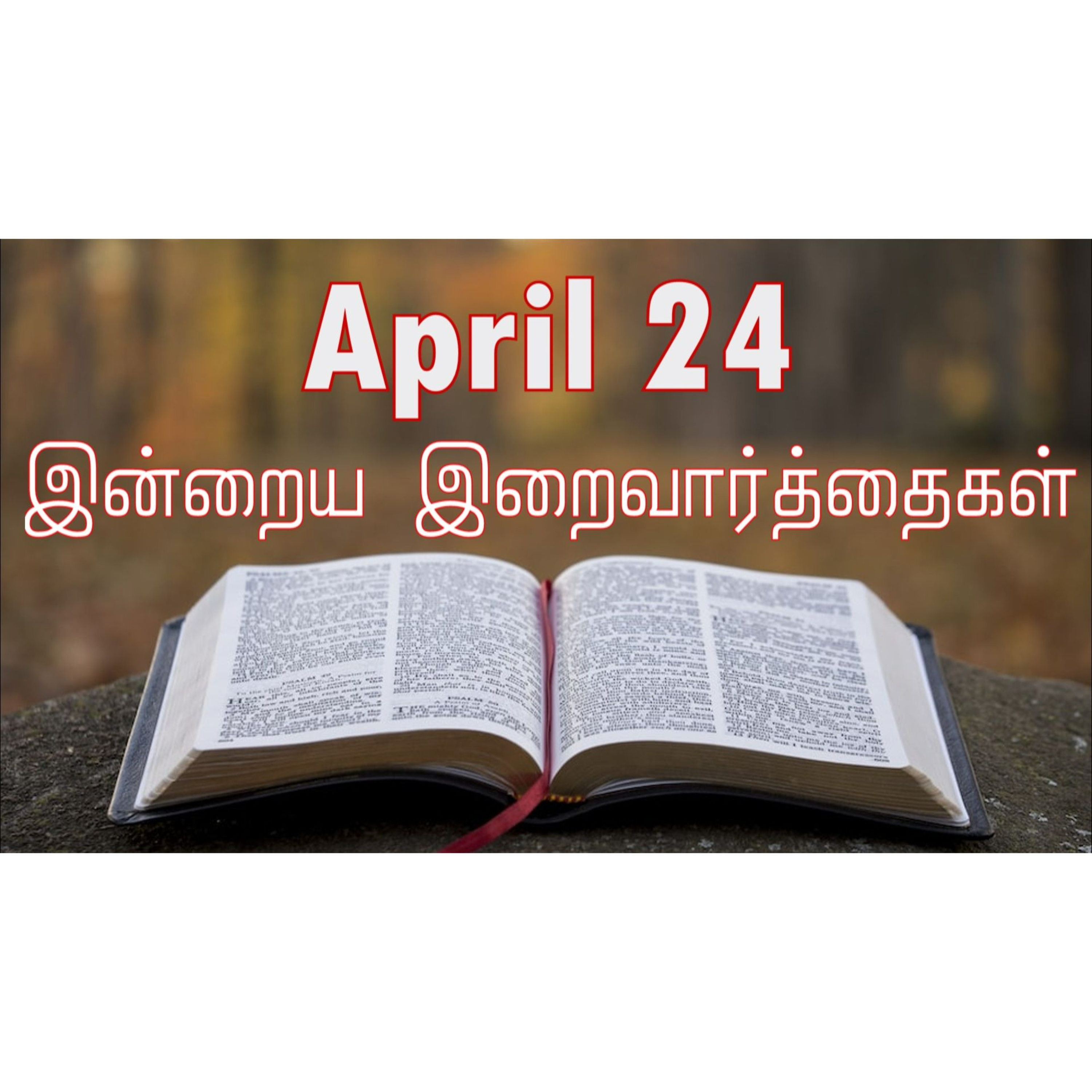 24 April 2025 Holy Mass Readings Tamil | Catholic | Daily Bible Reading Tamil | இன்றைய திருப்பலி வாசகங்கள் | Mass readings today | Today's Mass Readings Tamil | Daily bible verse in Tamil episode artwork