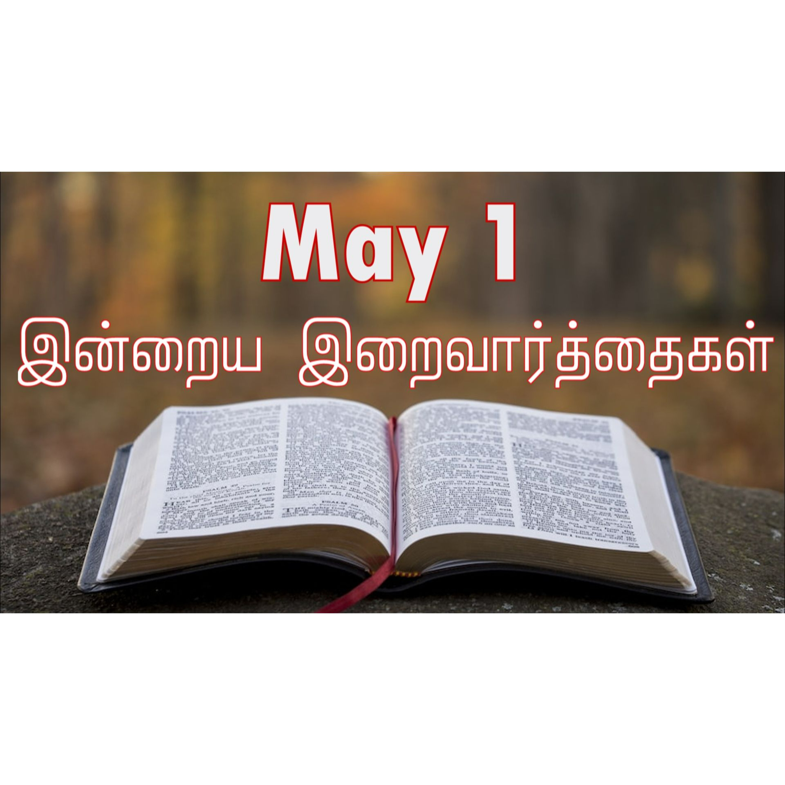 1 May 2025 Holy Mass Readings Tamil | Catholic | Daily Bible Reading Tamil | இன்றைய திருப்பலி வாசகங்கள் | Mass readings today | Today's Mass Readings Tamil | Daily bible verse in Tamil episode artwork
