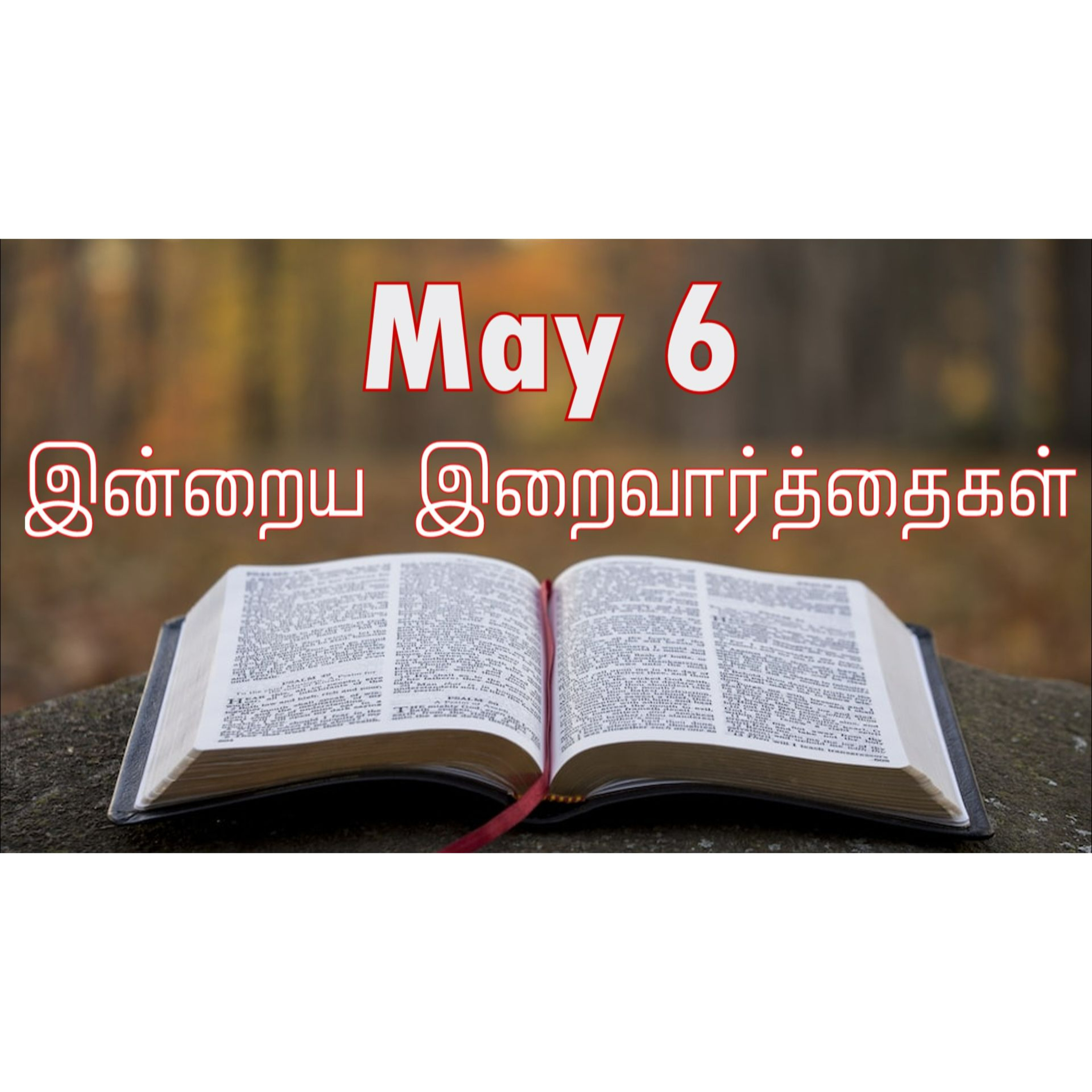 6 May 2025 Holy Mass Readings Tamil | Catholic | Daily Bible Reading Tamil | இன்றைய திருப்பலி வாசகங்கள் | Mass readings today | Today's Mass Readings Tamil | Daily bible verse in Tamil episode artwork