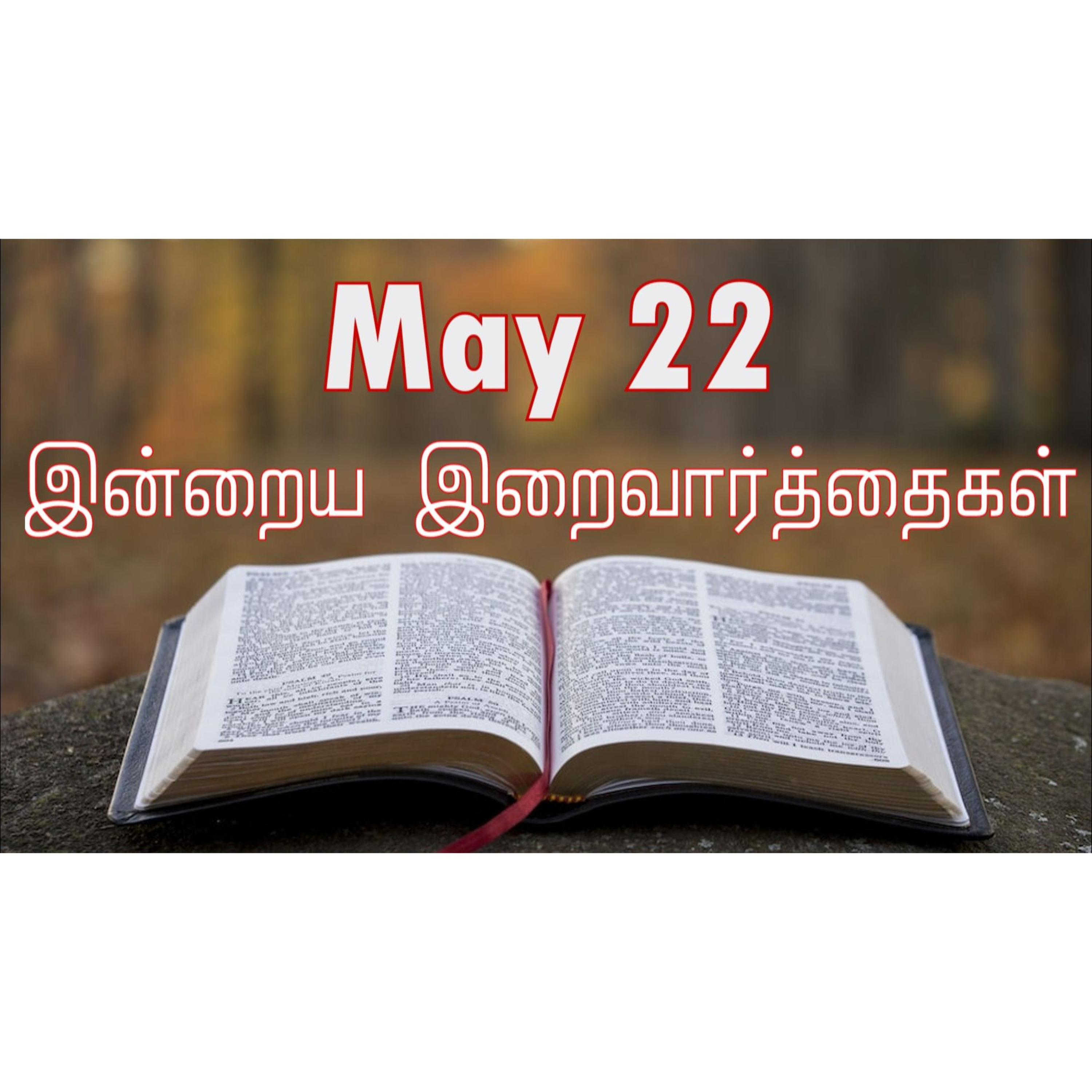 22 May 2025 Holy Mass Readings Tamil | Catholic | Daily Bible Reading Tamil | இன்றைய திருப்பலி வாசகங்கள் | Mass readings today | Today's Mass Readings Tamil | Daily bible verse in Tamil
