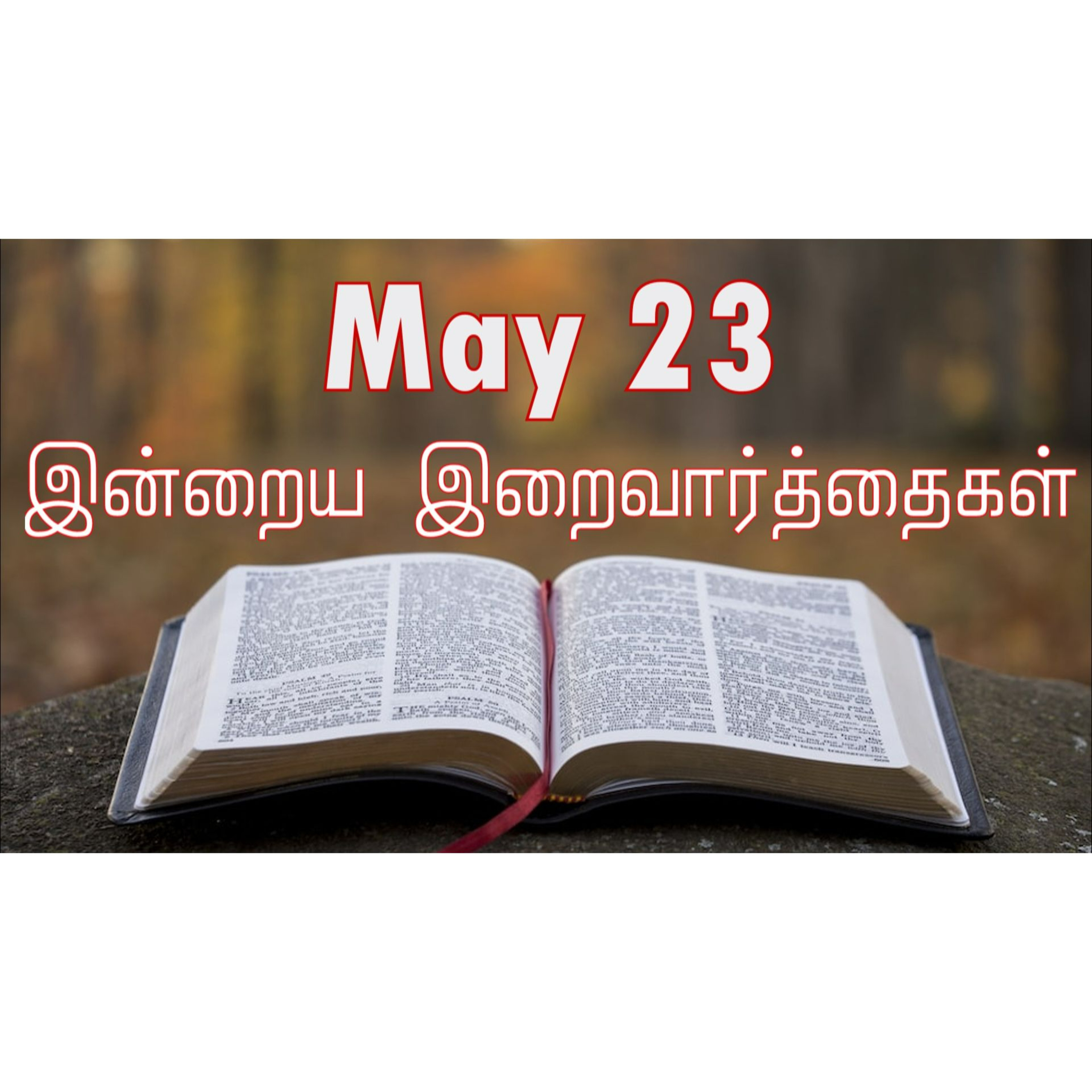 23 May 2025 Holy Mass Readings Tamil | Catholic | Daily Bible Reading Tamil | இன்றைய திருப்பலி வாசகங்கள் | Mass readings today | Today's Mass Readings Tamil | Daily bible verse in Tamil episode artwork