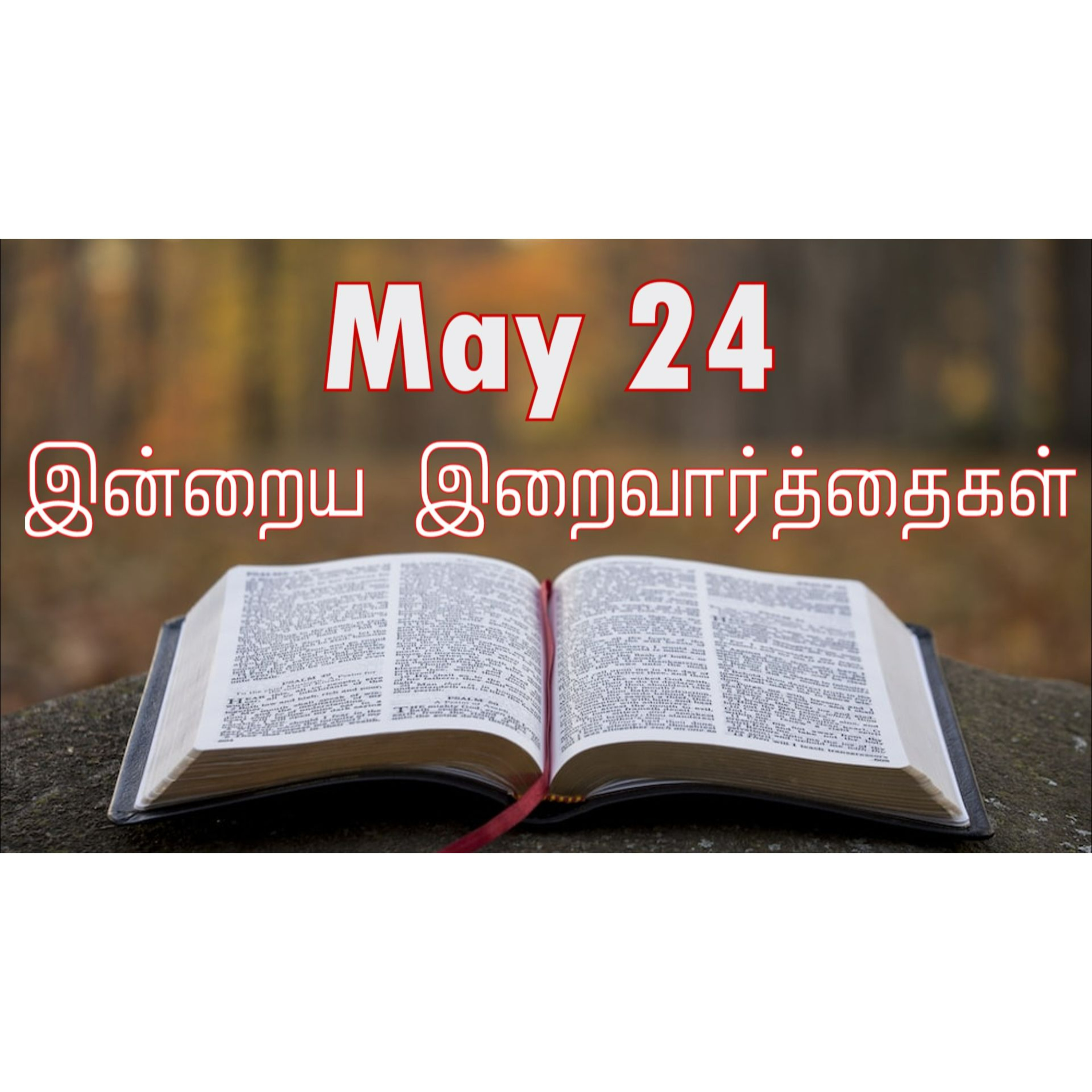 24 May 2025 Holy Mass Readings Tamil | Catholic | Daily Bible Reading Tamil | இன்றைய திருப்பலி வாசகங்கள் | Mass readings today | Today's Mass Readings Tamil | Daily bible verse in Tamil episode artwork