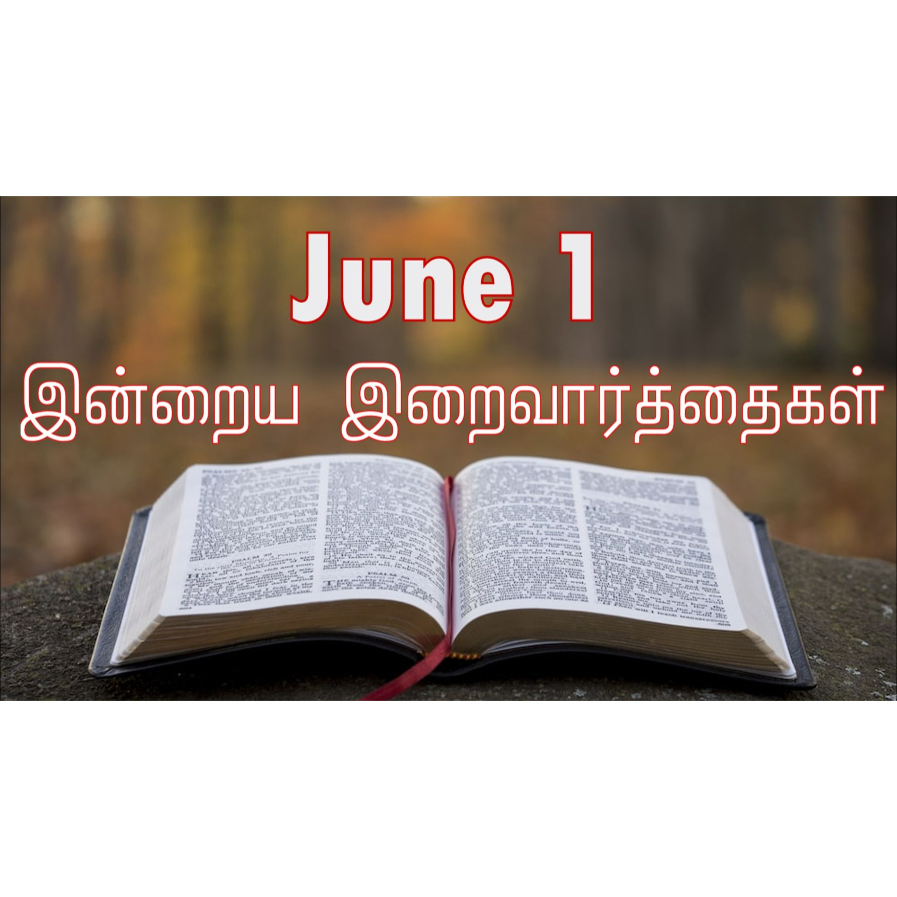 1 June 2025 Holy Mass Readings Tamil | Catholic | Daily Bible Reading Tamil | இன்றைய திருப்பலி வாசகங்கள் | Mass readings today | Today's Mass Readings Tamil | Daily bible verse in Tamil episode artwork