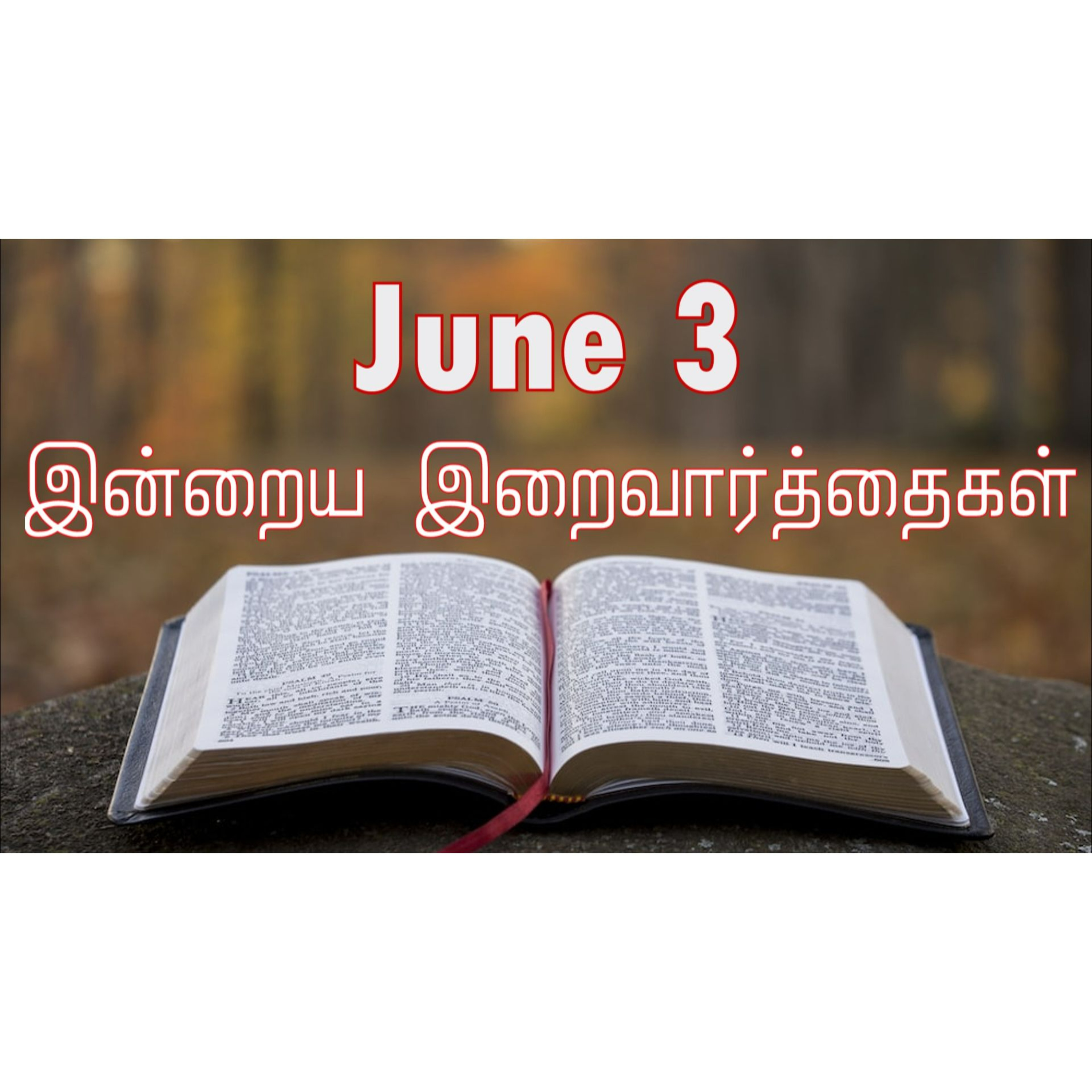 3 June 2025 Holy Mass Readings Tamil | Catholic | Daily Bible Reading Tamil | இன்றைய திருப்பலி வாசகங்கள் | Mass readings today | Today's Mass Readings Tamil | Daily bible verse in Tamil