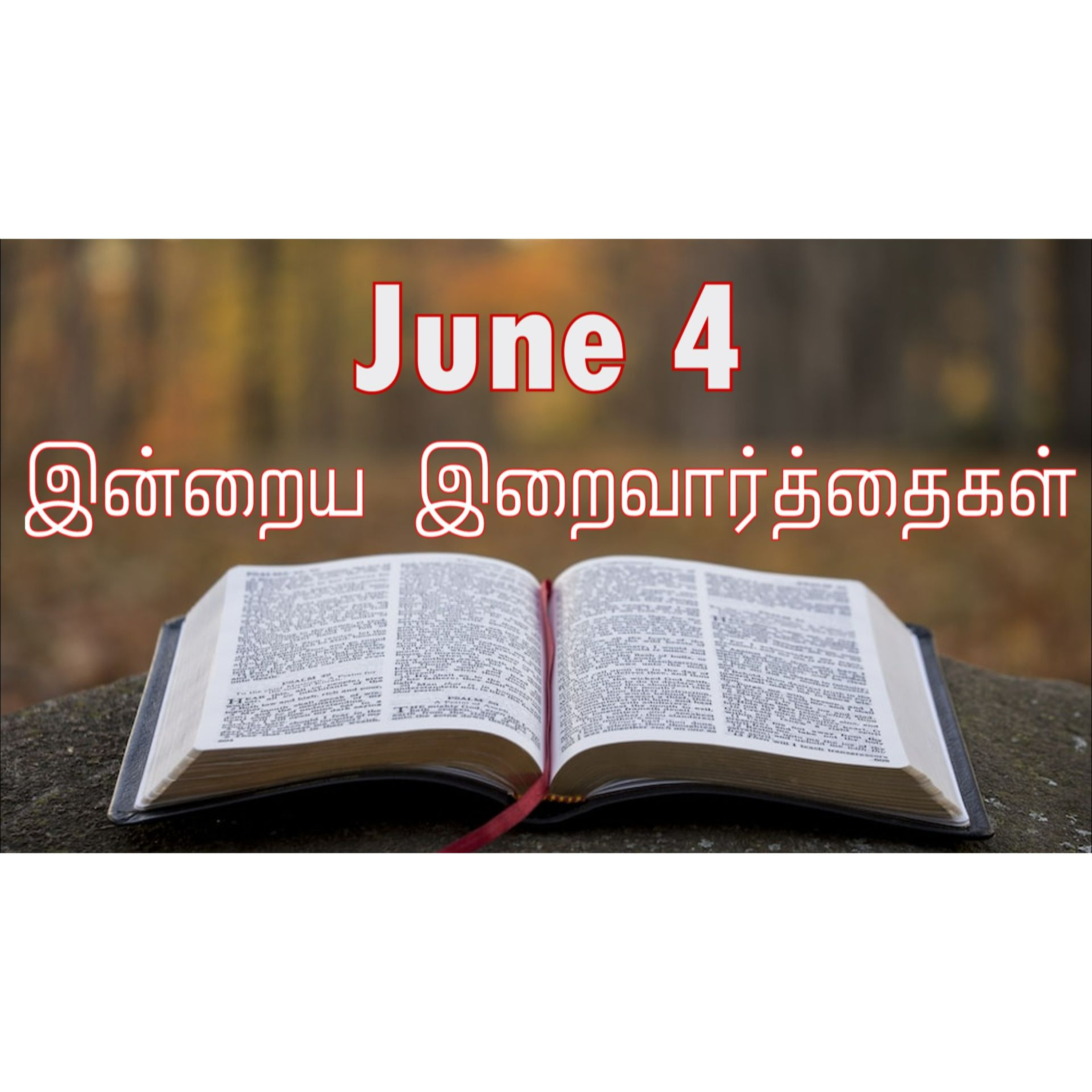 4 June 2025 Holy Mass Readings Tamil | Catholic | Daily Bible Reading Tamil | இன்றைய திருப்பலி வாசகங்கள் | Mass readings today | Today's Mass Readings Tamil | Daily bible verse in Tamil episode artwork