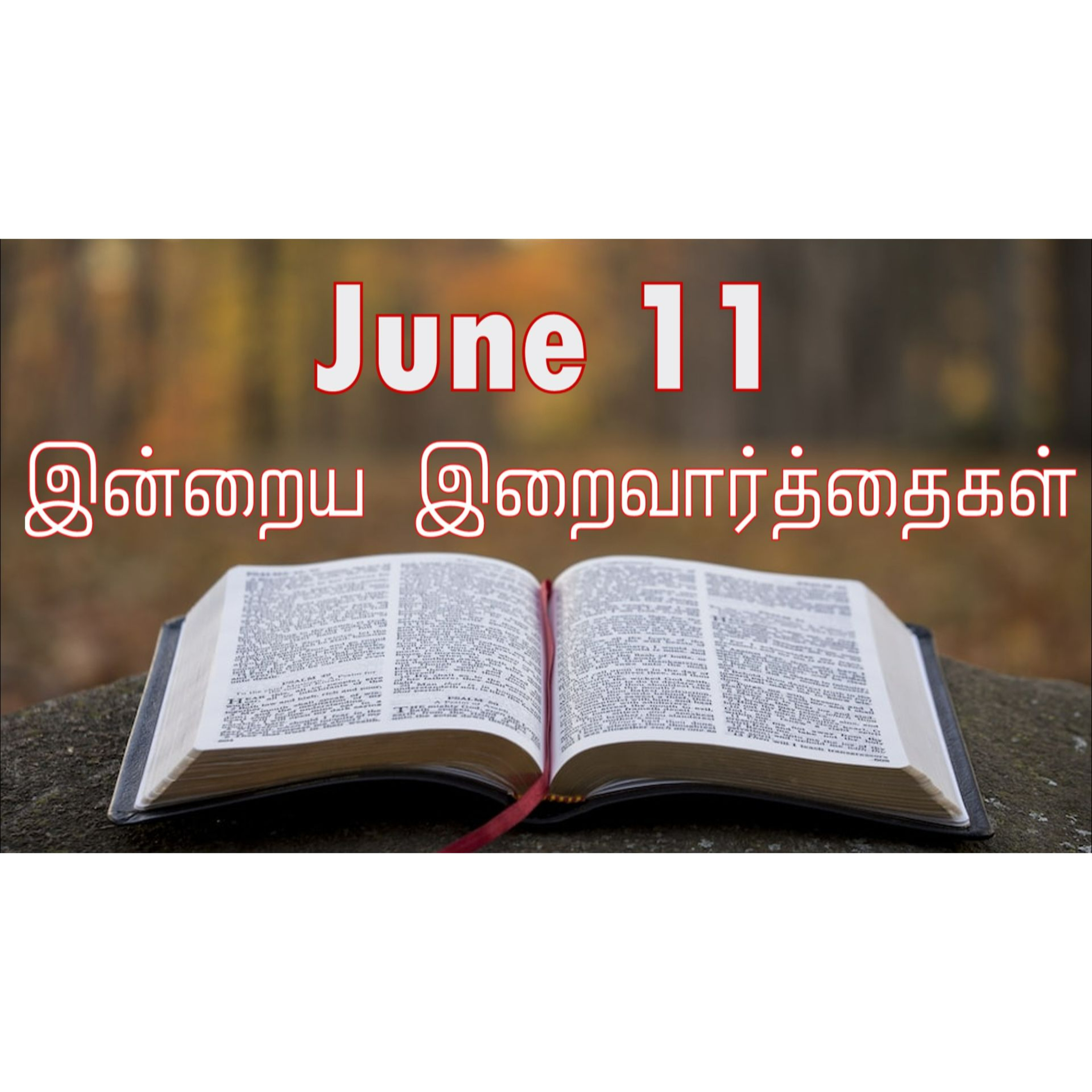 11 June 2025 Holy Mass Readings Tamil | Catholic | Daily Bible Reading Tamil | இன்றைய திருப்பலி வாசகங்கள் | Mass readings today | Today's Mass Readings Tamil | Daily bible verse in Tamil  episode artwork