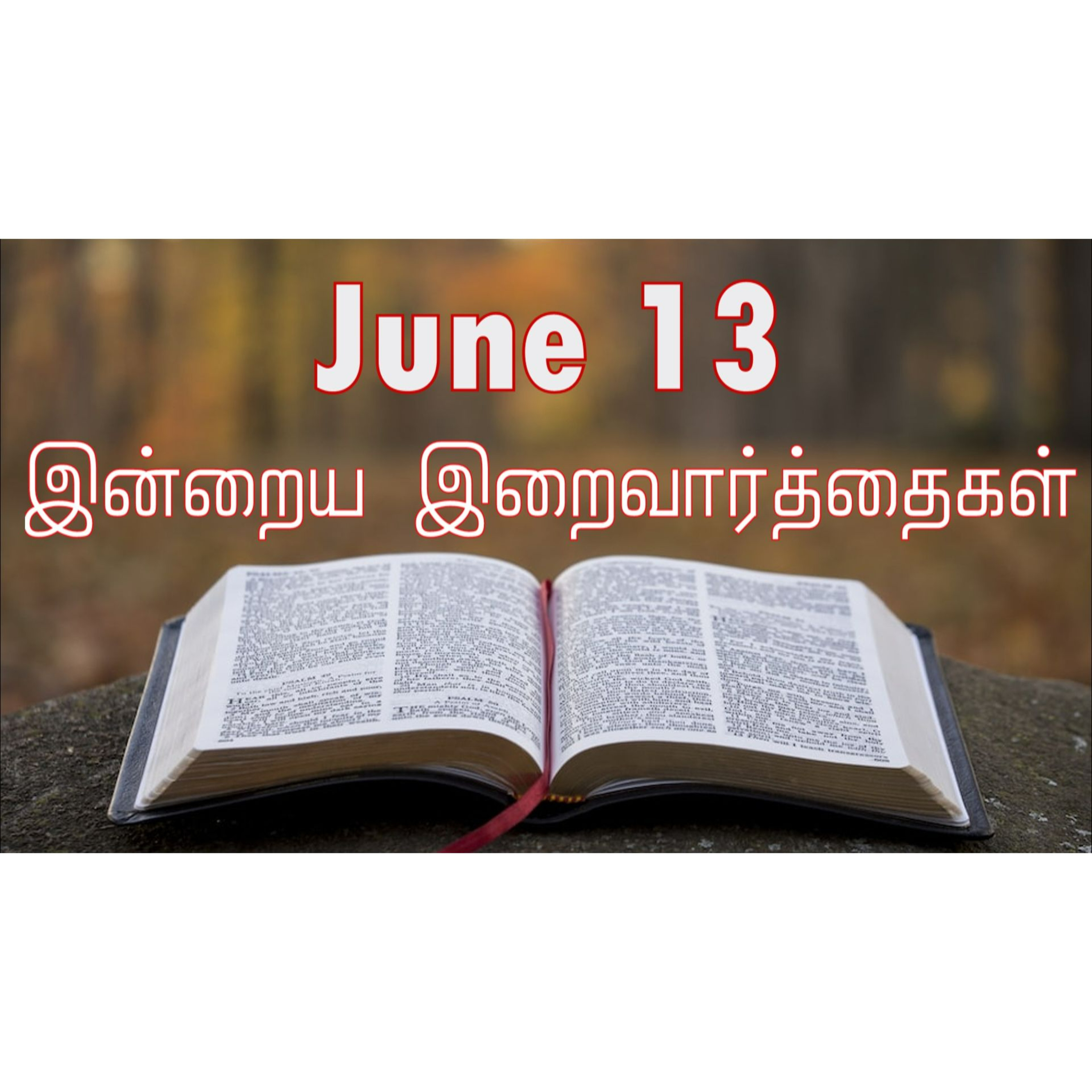 13 June 2025 Holy Mass Readings Tamil | Catholic | Daily Bible Reading Tamil | இன்றைய திருப்பலி வாசகங்கள் | Mass readings today | Today's Mass Readings Tamil | Daily bible verse in Tamil