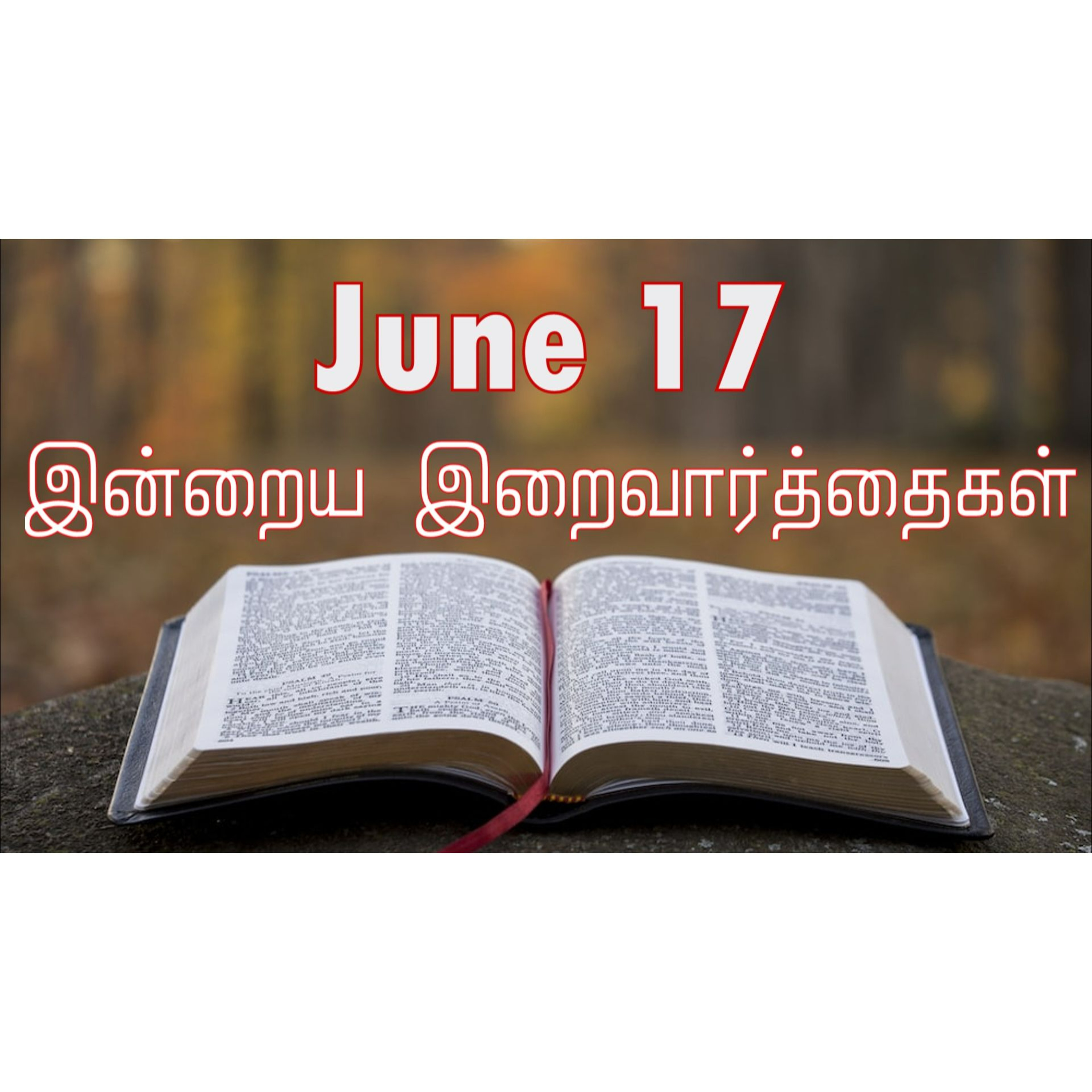 17 June 2025 Holy Mass Readings Tamil | Catholic | Daily Bible Reading Tamil | இன்றைய திருப்பலி வாசகங்கள் | Mass readings today | Today's Mass Readings Tamil | Daily bible verse in Tamil