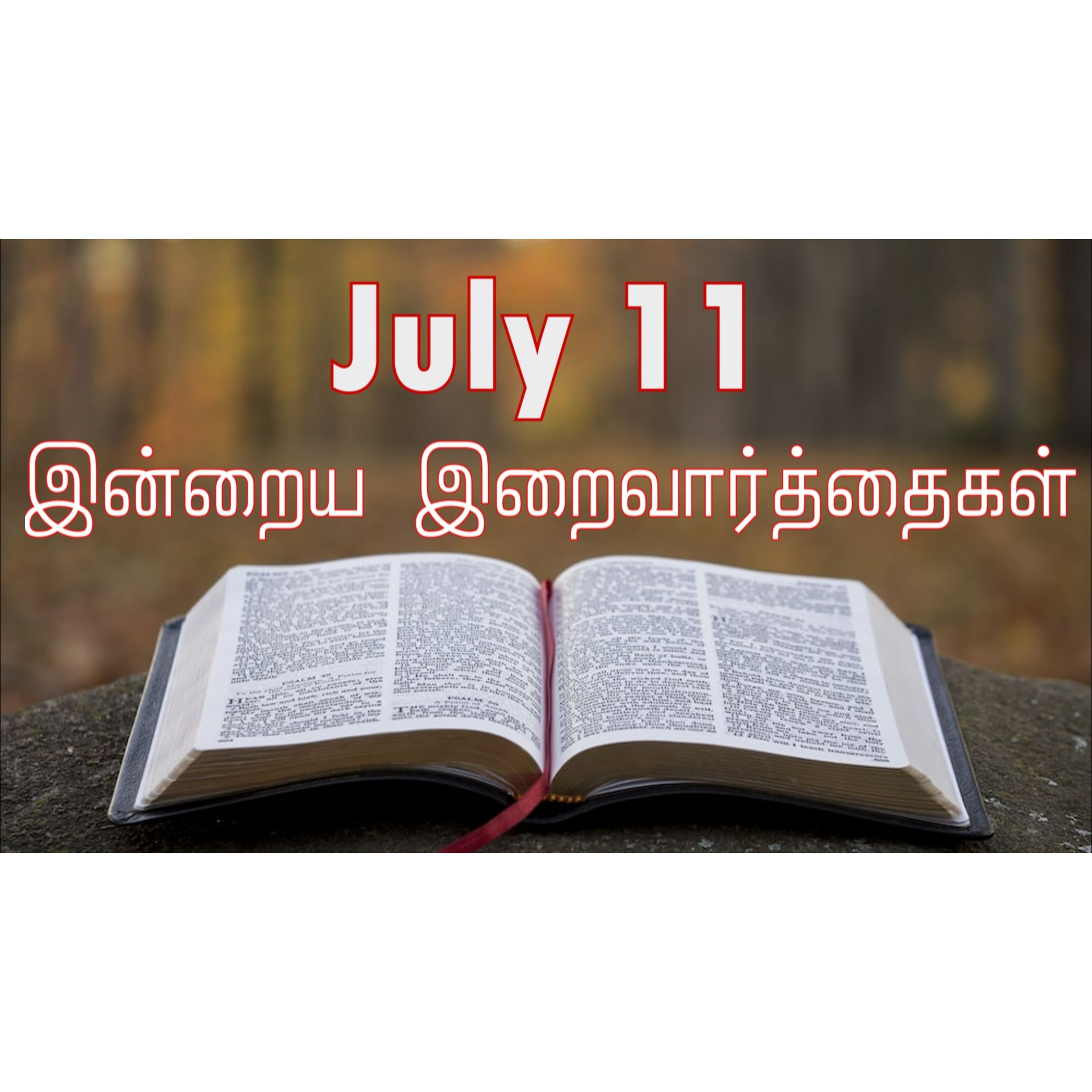 11 July 2025 Holy Mass Readings Tamil | Catholic | Daily Bible Reading Tamil | இன்றைய திருப்பலி வாசகங்கள் | Mass readings today | Today's Mass Readings Tamil | Daily bible verse in Tamil  episode artwork