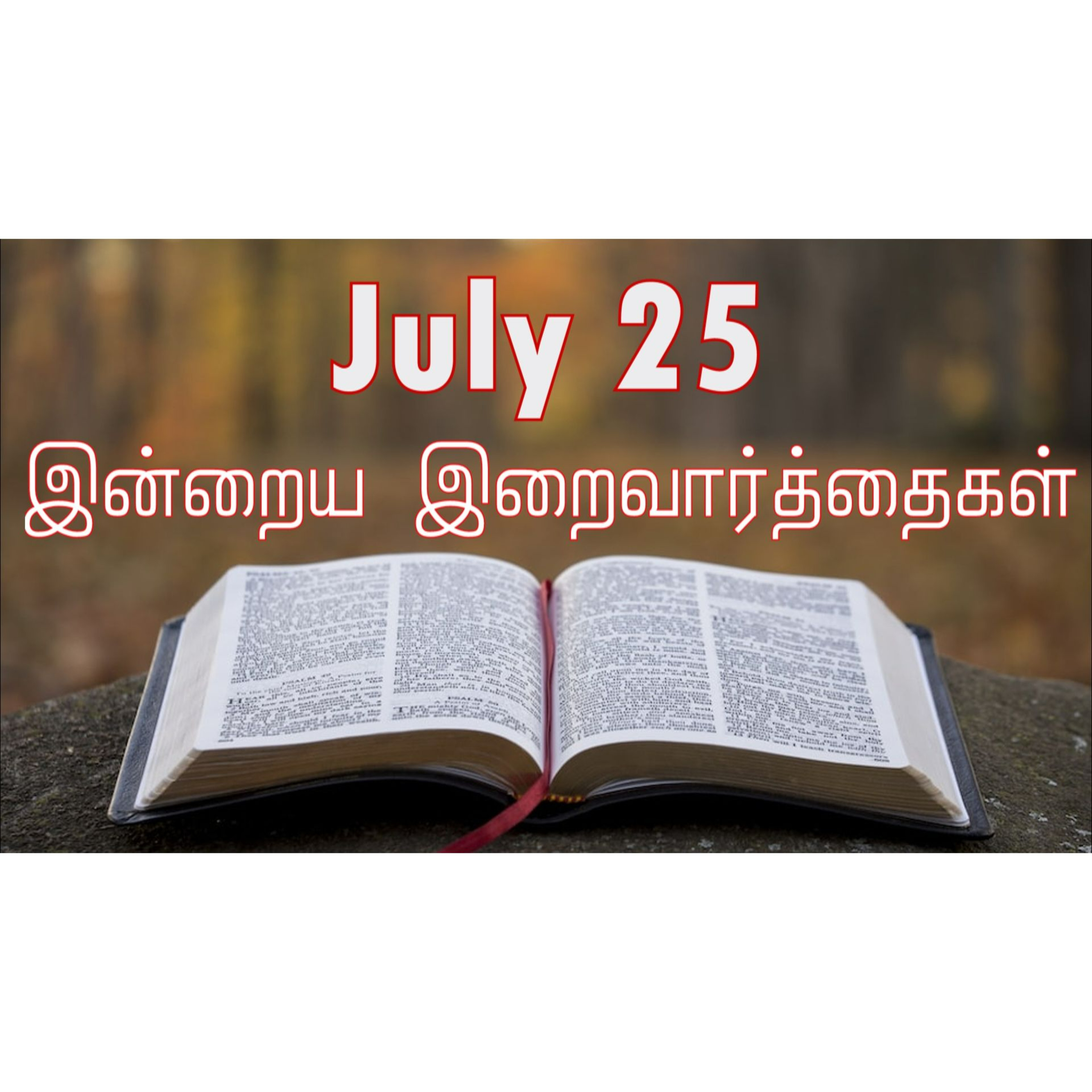 25 July 2025 Holy Mass Readings Tamil | Catholic | Daily Bible Reading Tamil | இன்றைய திருப்பலி வாசகங்கள் | Mass readings today | Today's Mass Readings Tamil | Daily bible verse in Tamil