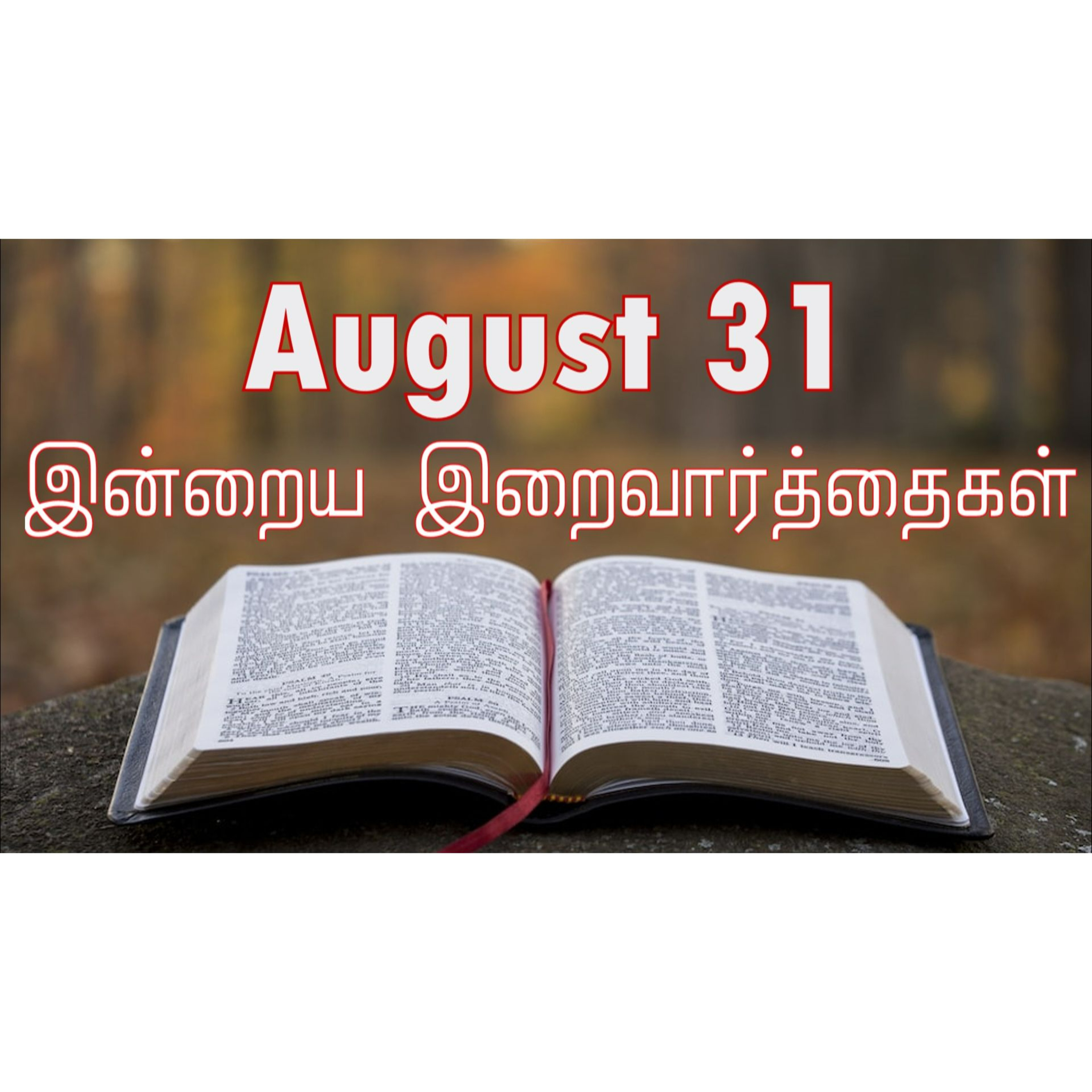 31 August 2025 Holy Mass Readings Tamil | Catholic | Daily Bible Reading Tamil | இன்றைய திருப்பலி வாசகங்கள் | Mass readings today | Today's Mass Readings Tamil | Daily bible verse in Tamil  episode artwork