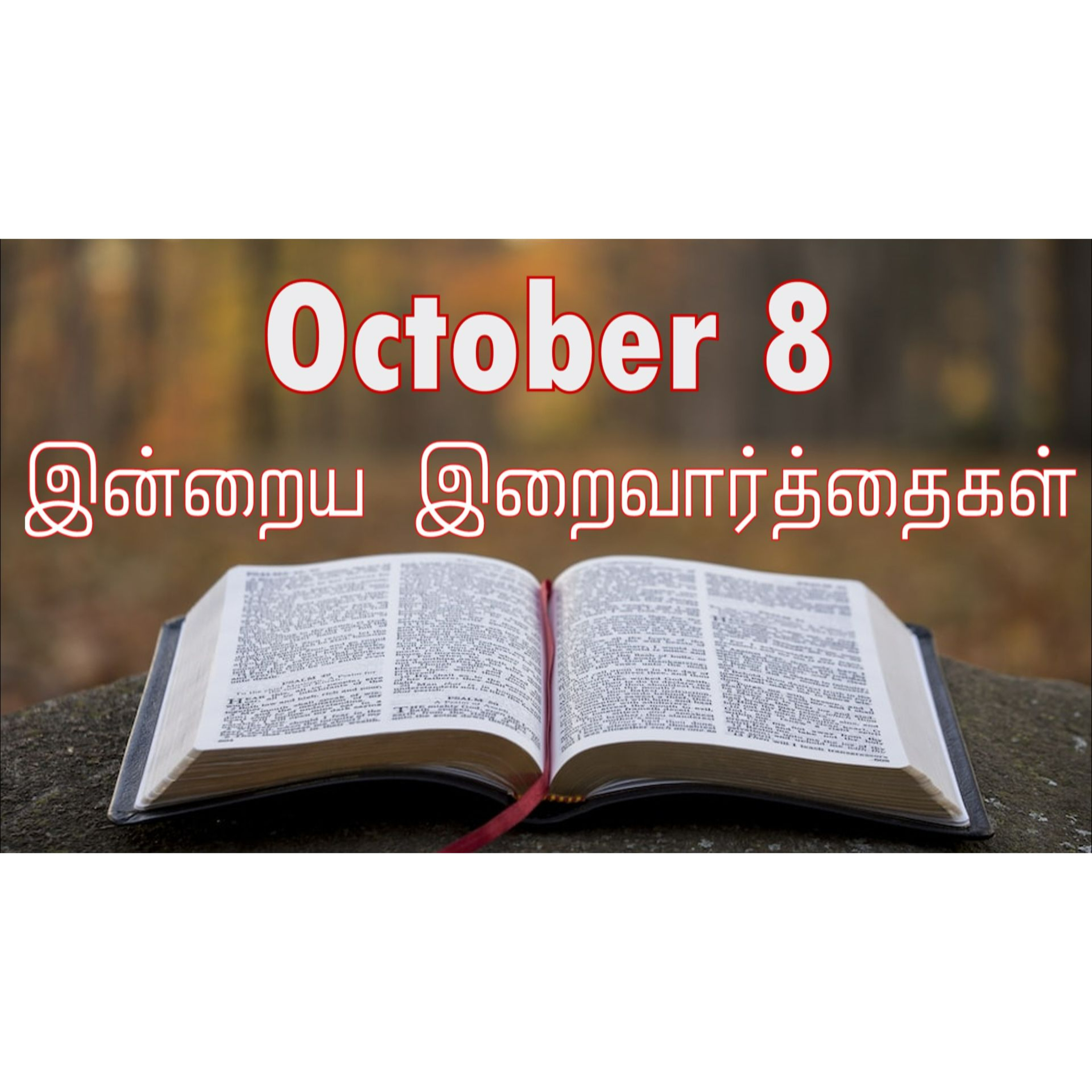 8 October 2025 Holy Mass Readings Tamil | Catholic | Daily Bible Reading Tamil | இன்றைய திருப்பலி வாசகங்கள் | Mass readings today | Today's Mass Readings Tamil | Daily bible verse in Tamil  episode artwork