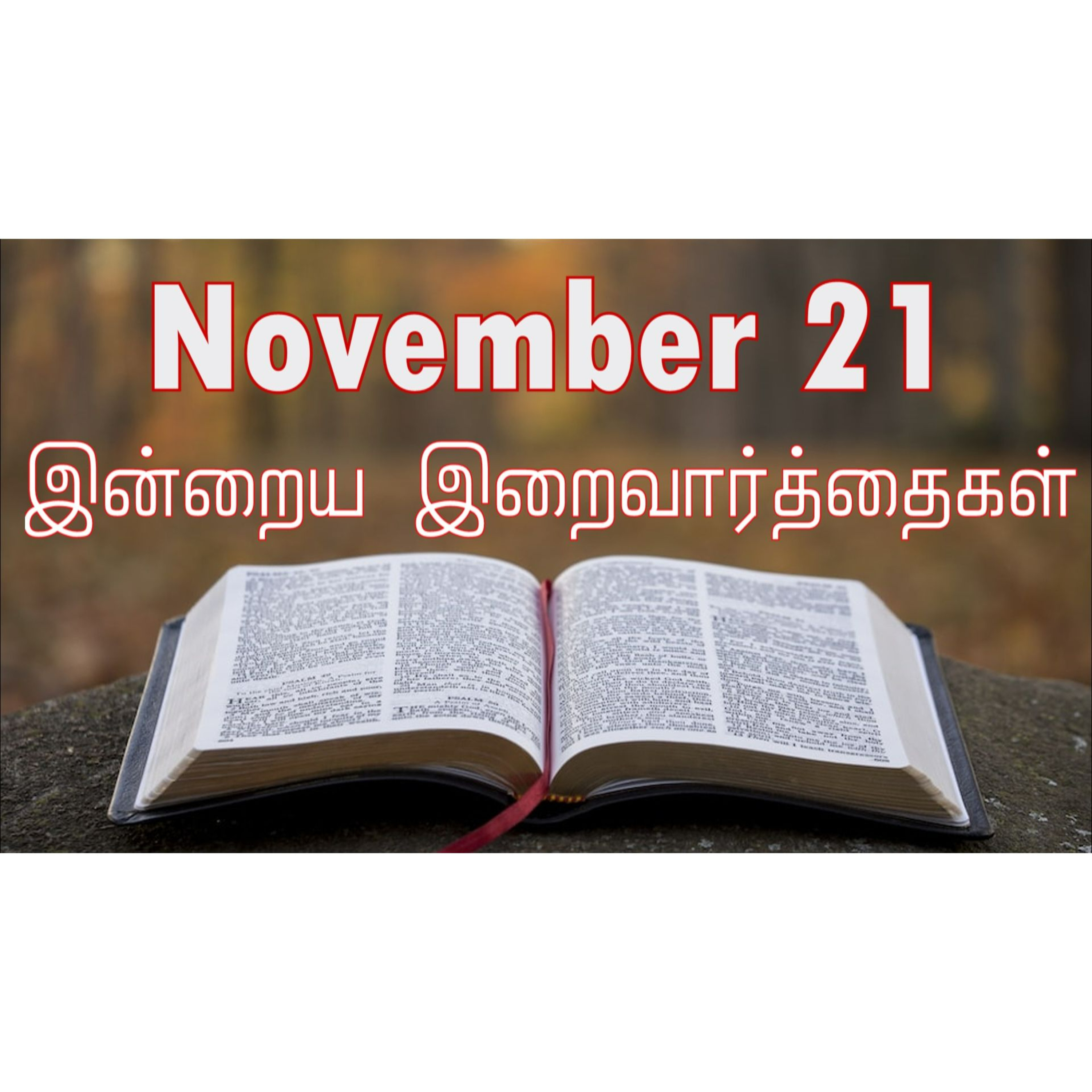 21 November 2025 Holy Mass Readings Tamil | Catholic | Daily Bible Reading Tamil | இன்றைய திருப்பலி வாசகங்கள் | Mass readings today | Today's Mass Readings Tamil | Daily bible verse in Tamil