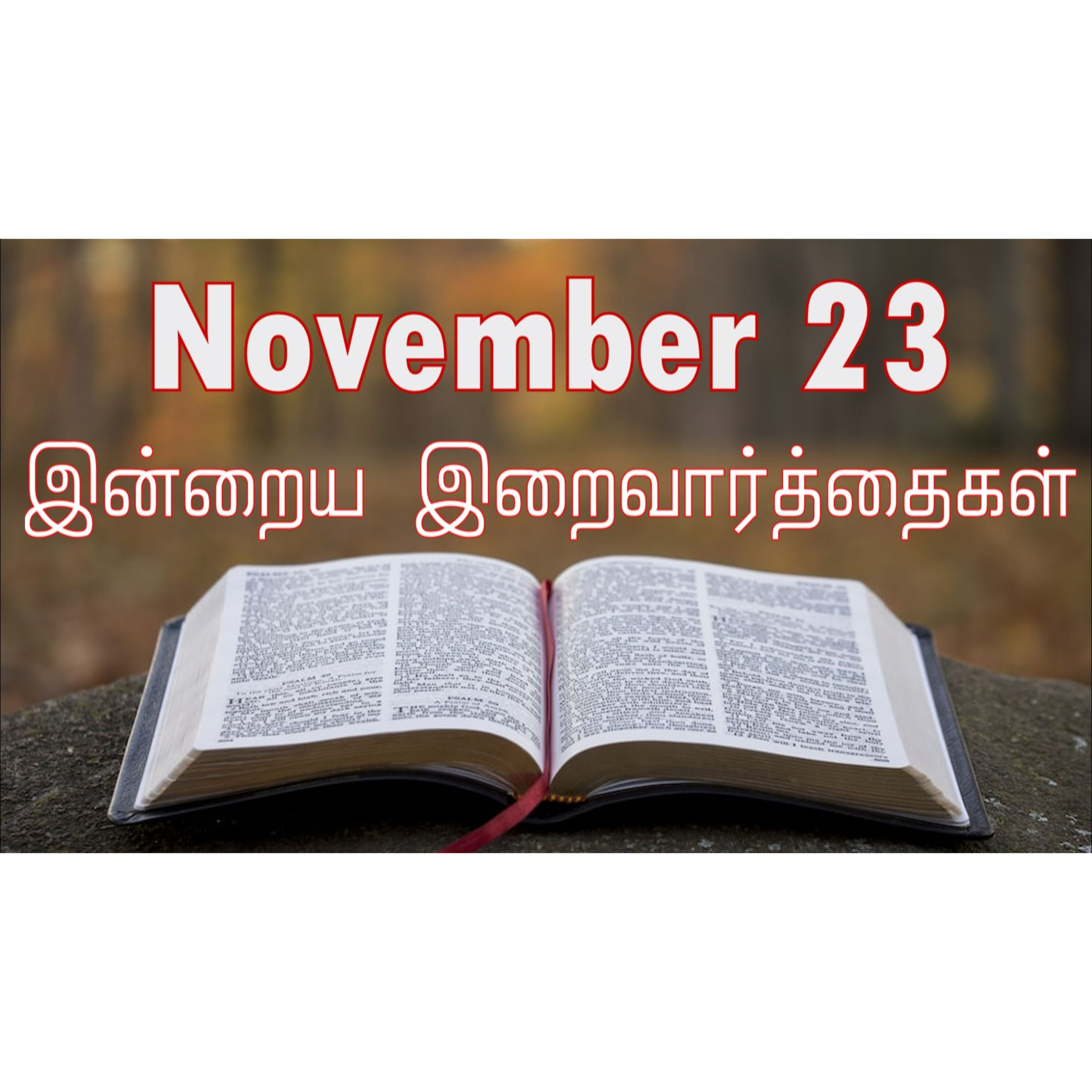 23 November 2025 Holy Mass Readings Tamil | Catholic | Daily Bible Reading Tamil | இன்றைய திருப்பலி வாசகங்கள் | Mass readings today | Today's Mass Readings Tamil | Daily bible verse in Tamil  episode artwork