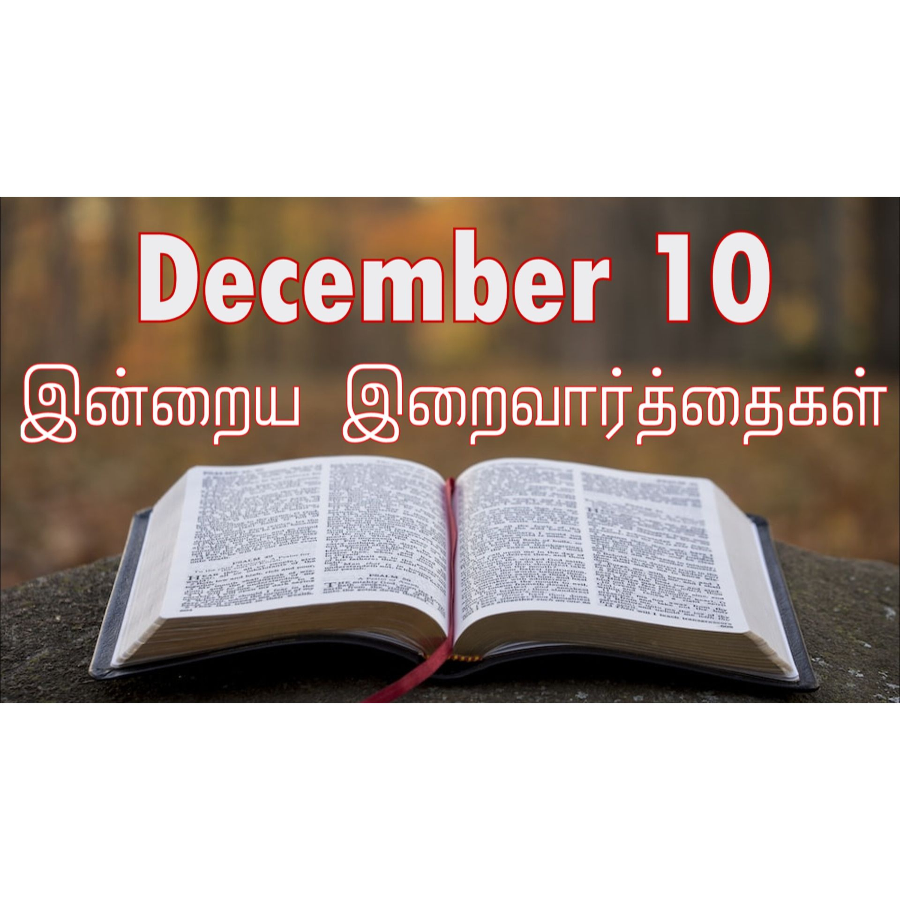 10 December 2025 Holy Mass Readings Tamil | Catholic | Daily Bible Reading Tamil | இன்றைய திருப்பலி வாசகங்கள் | Mass readings today | Today's Mass Readings Tamil | Daily bible verse in Tamil
