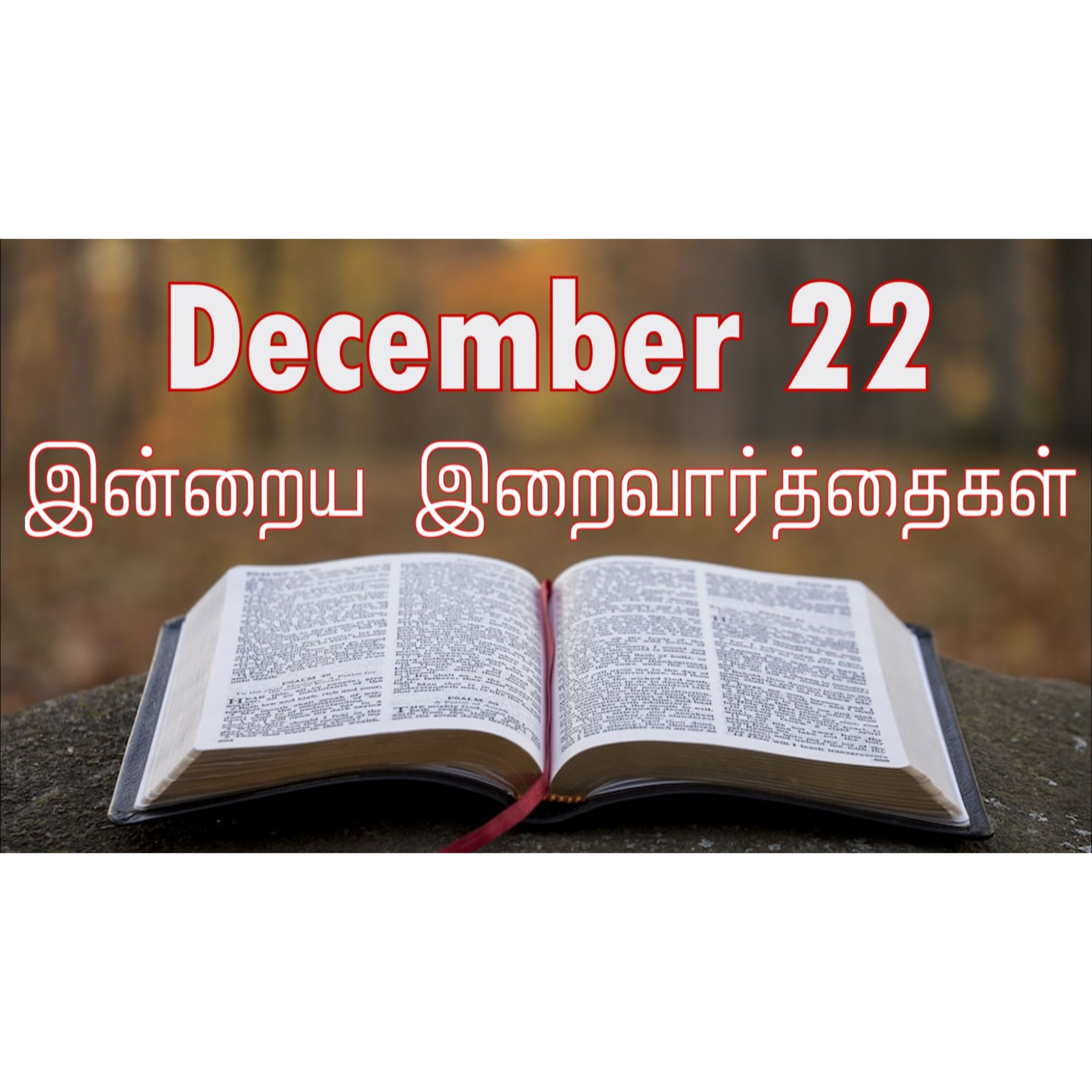 22 December 2025 Holy Mass Readings Tamil | Catholic | Daily Bible Reading Tamil | இன்றைய திருப்பலி வாசகங்கள் | Mass readings today | Today's Mass Readings Tamil | Daily bible verse in Tamil  episode artwork